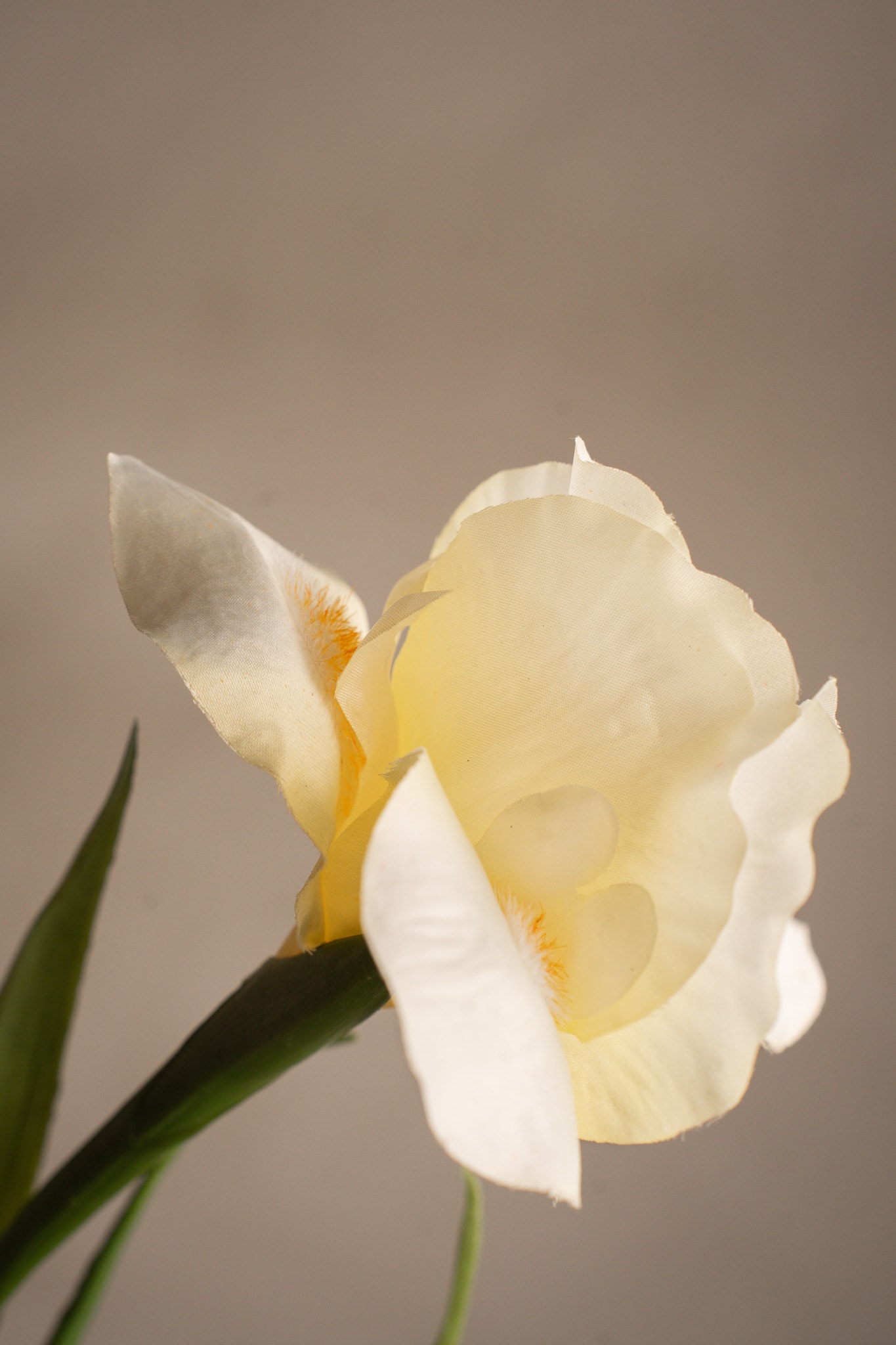 Konstgjord gul Iris 68cm