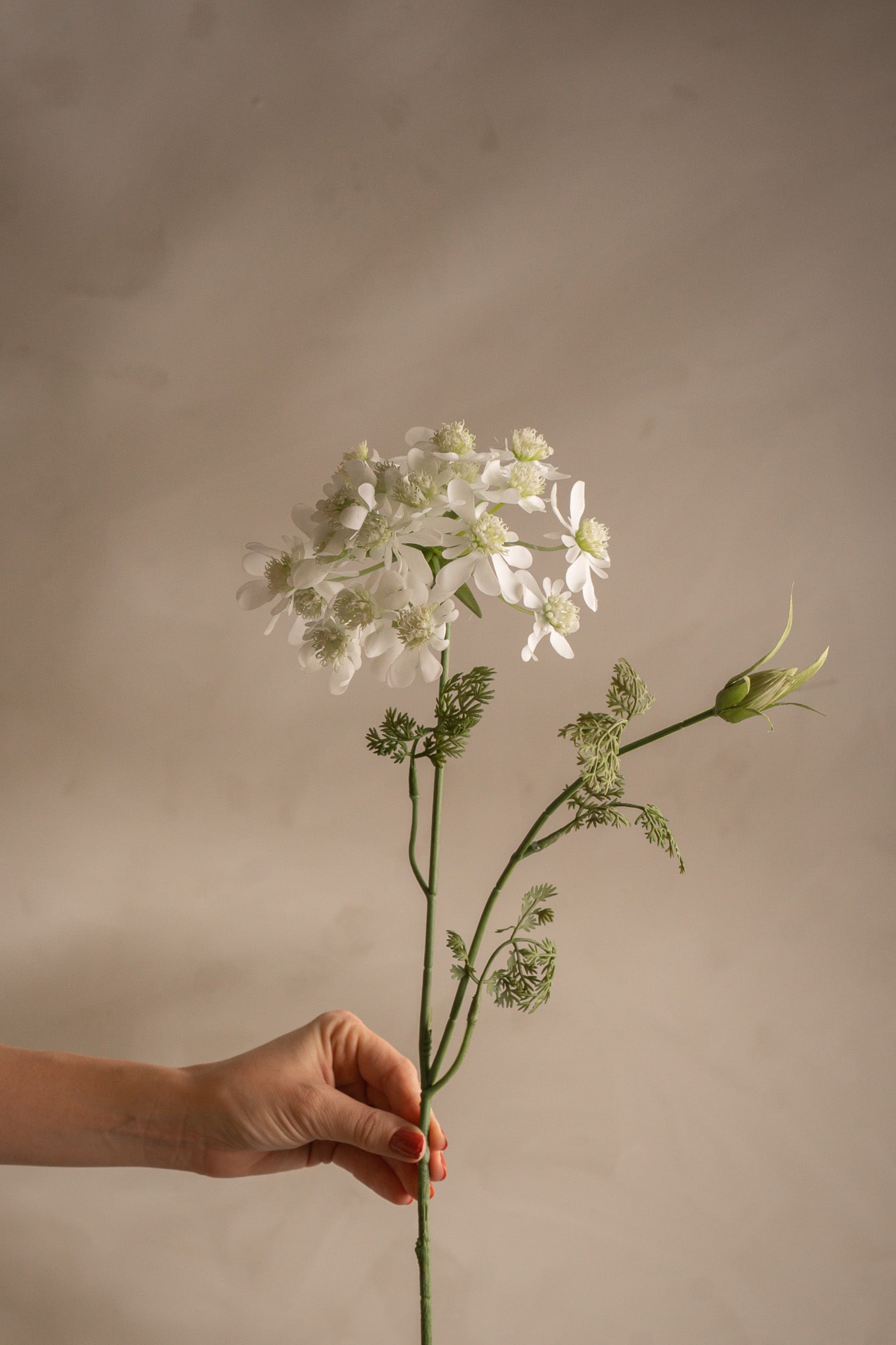 Konstgjord vit Blomsterkörvel 73cm
