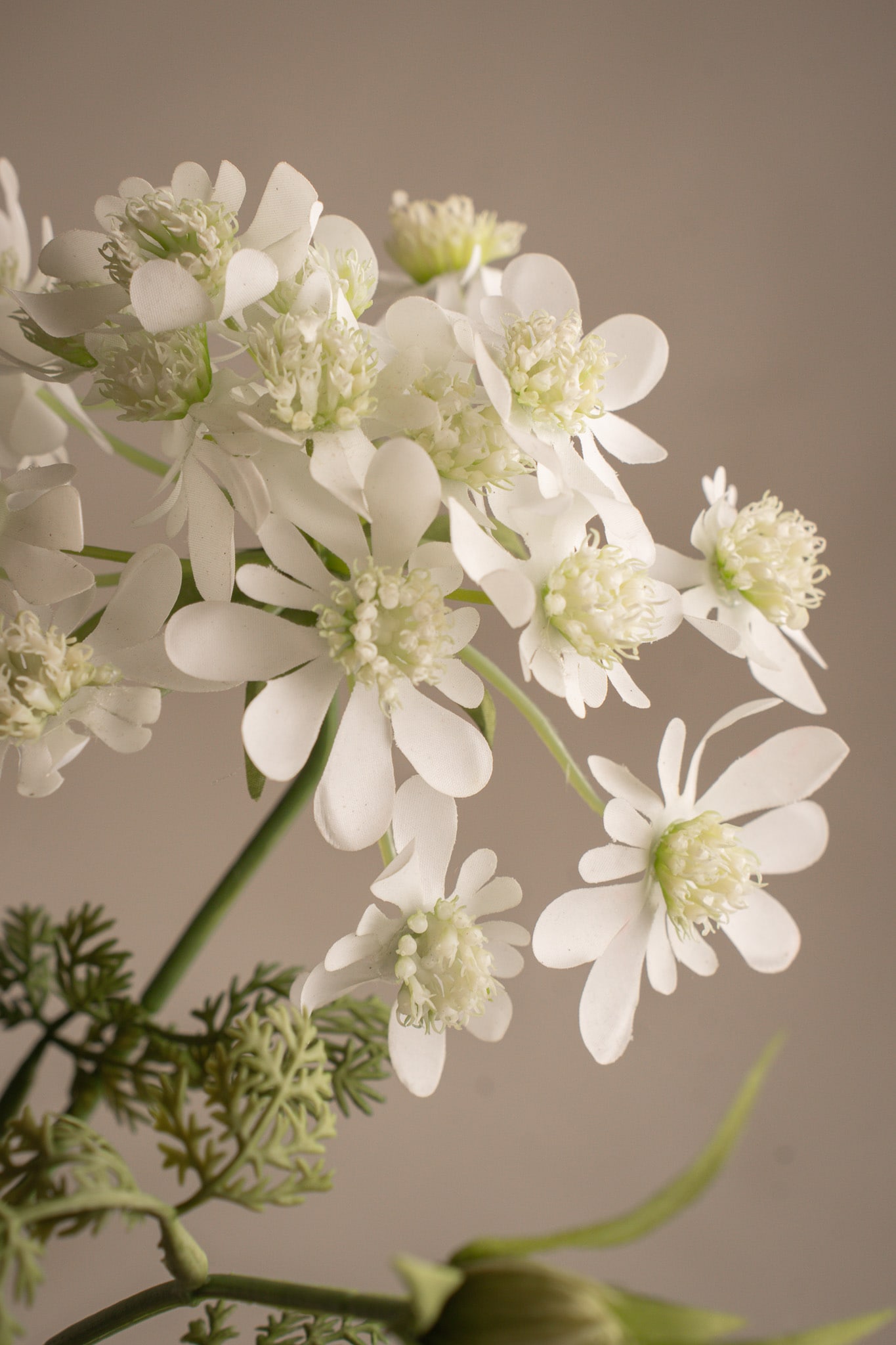 Konstgjord vit Blomsterkörvel 73cm