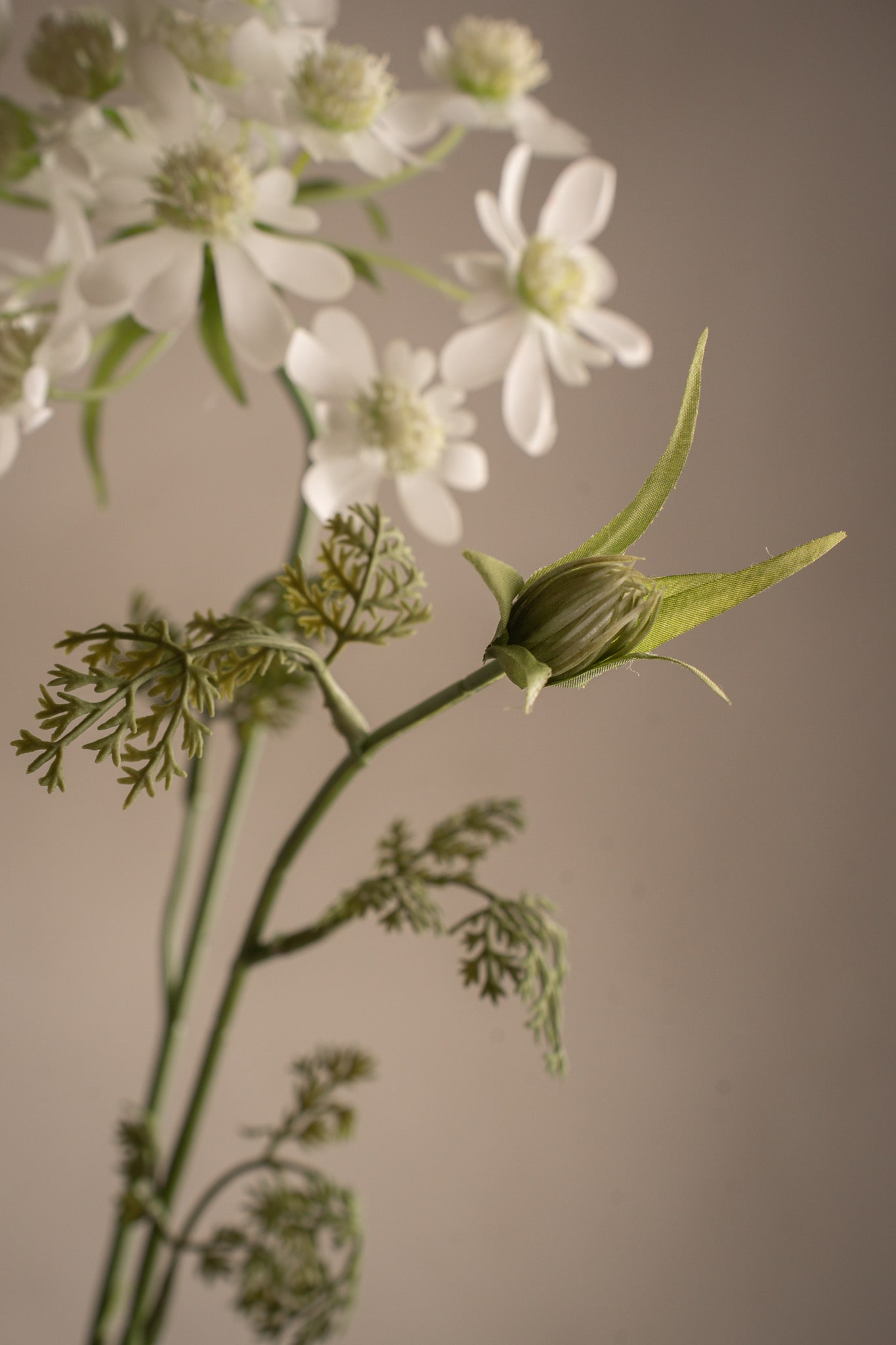 Konstgjord vit Blomsterkörvel 73cm