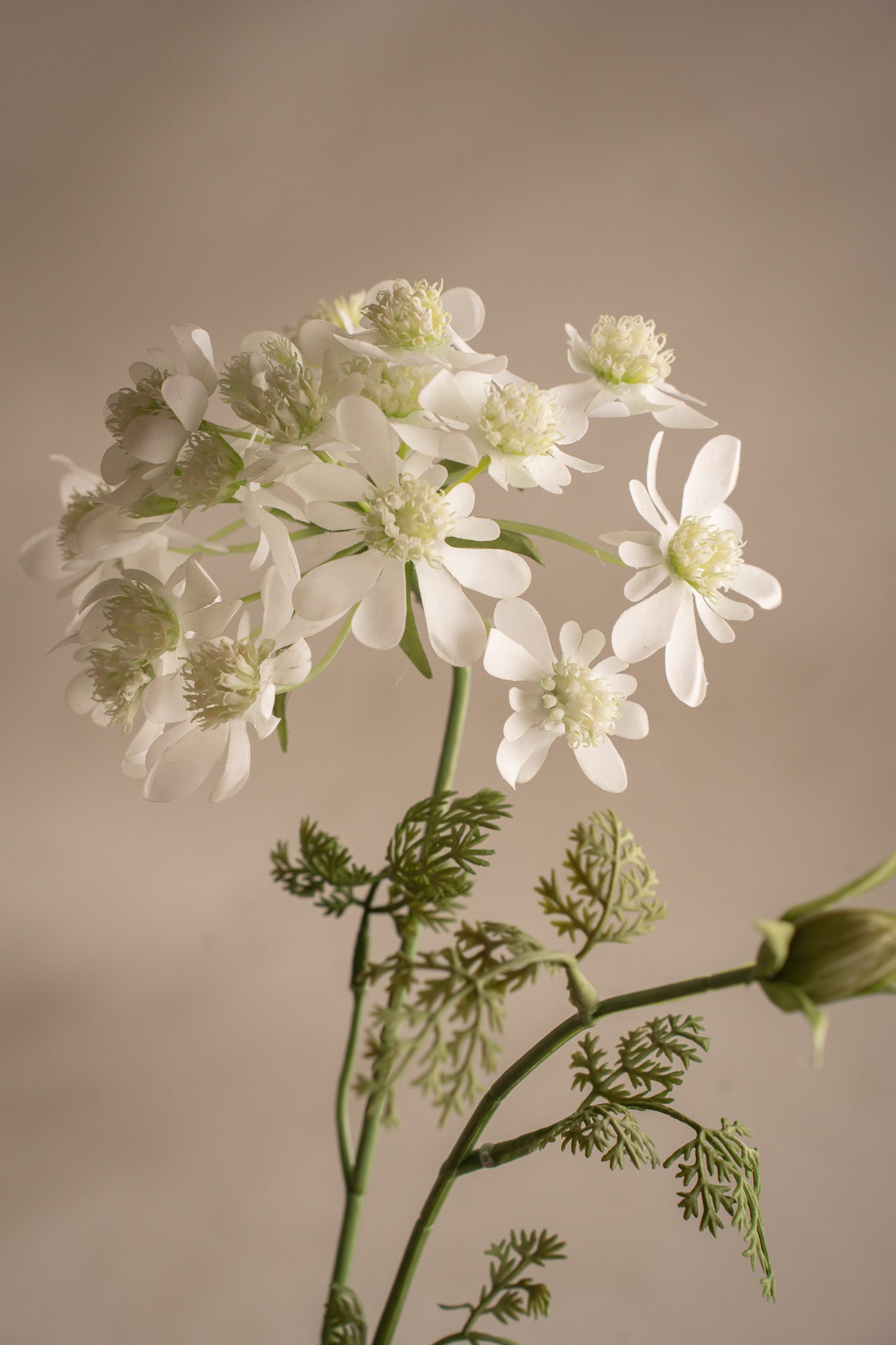 Konstgjord vit Blomsterkörvel 73cm