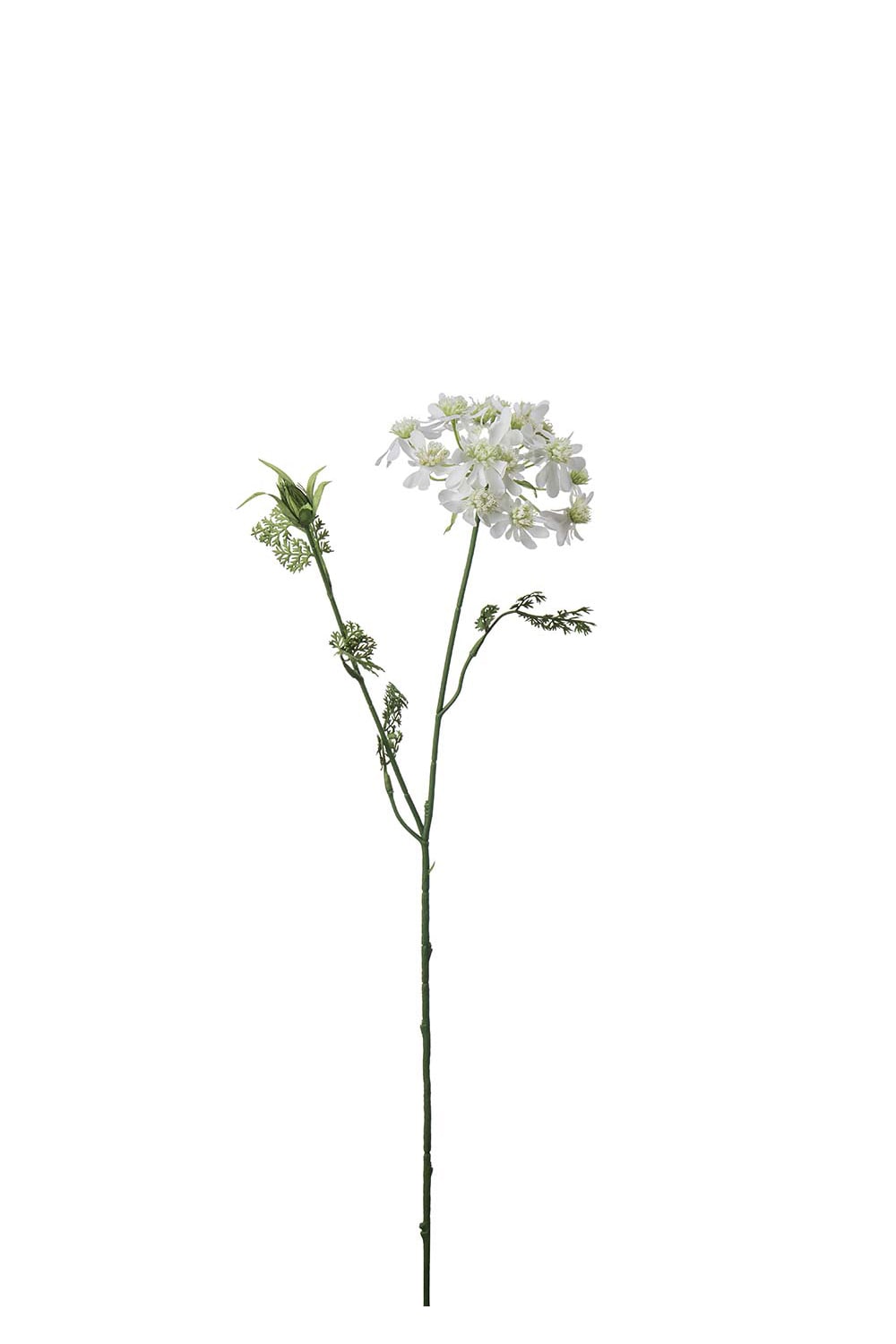 Konstgjord vit Blomsterkörvel 73cm