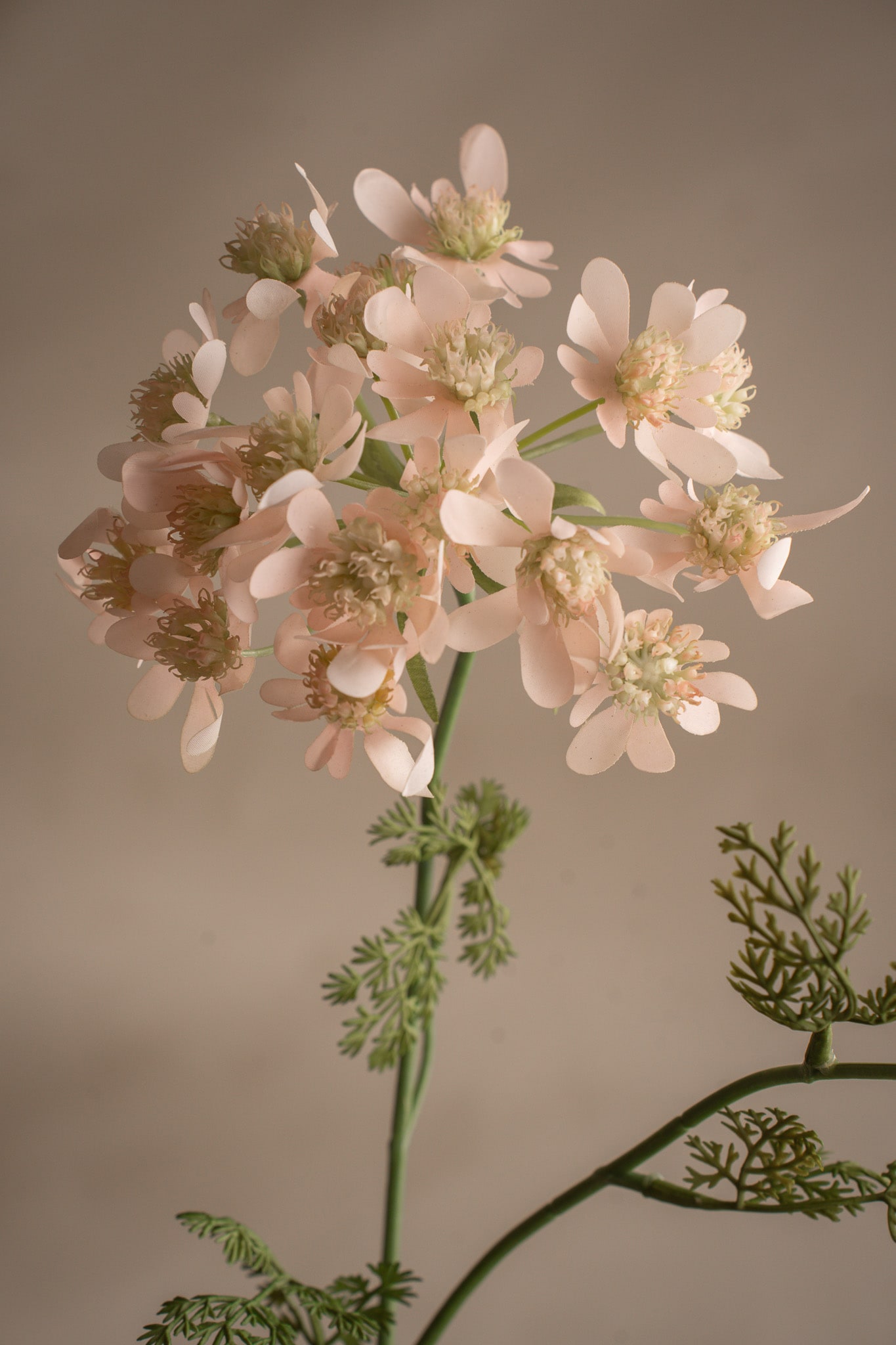Konstgjord rosa Blomsterkörvel 73cm
