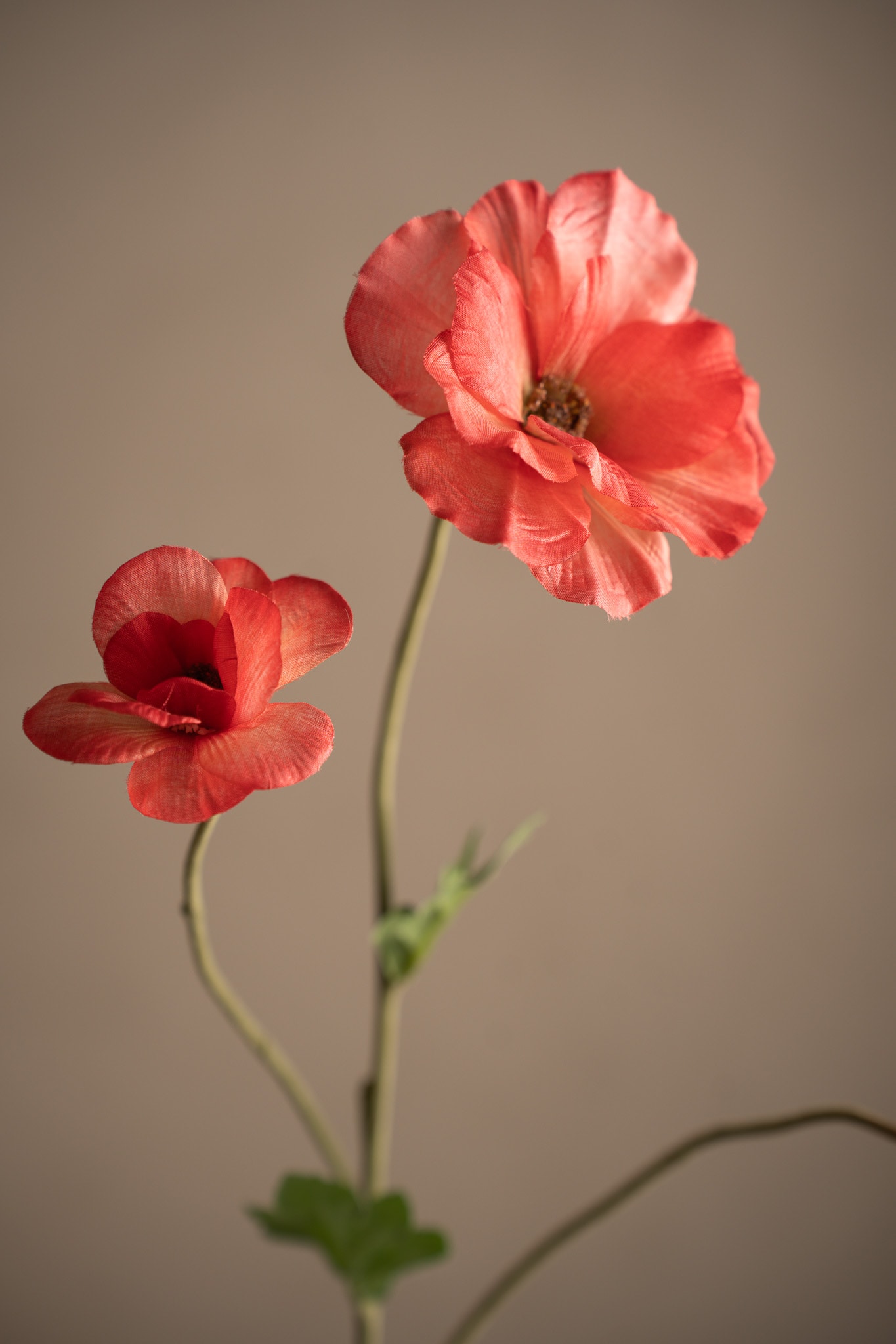 Konstgjord rosa Japansk Ranuncel 62cm
