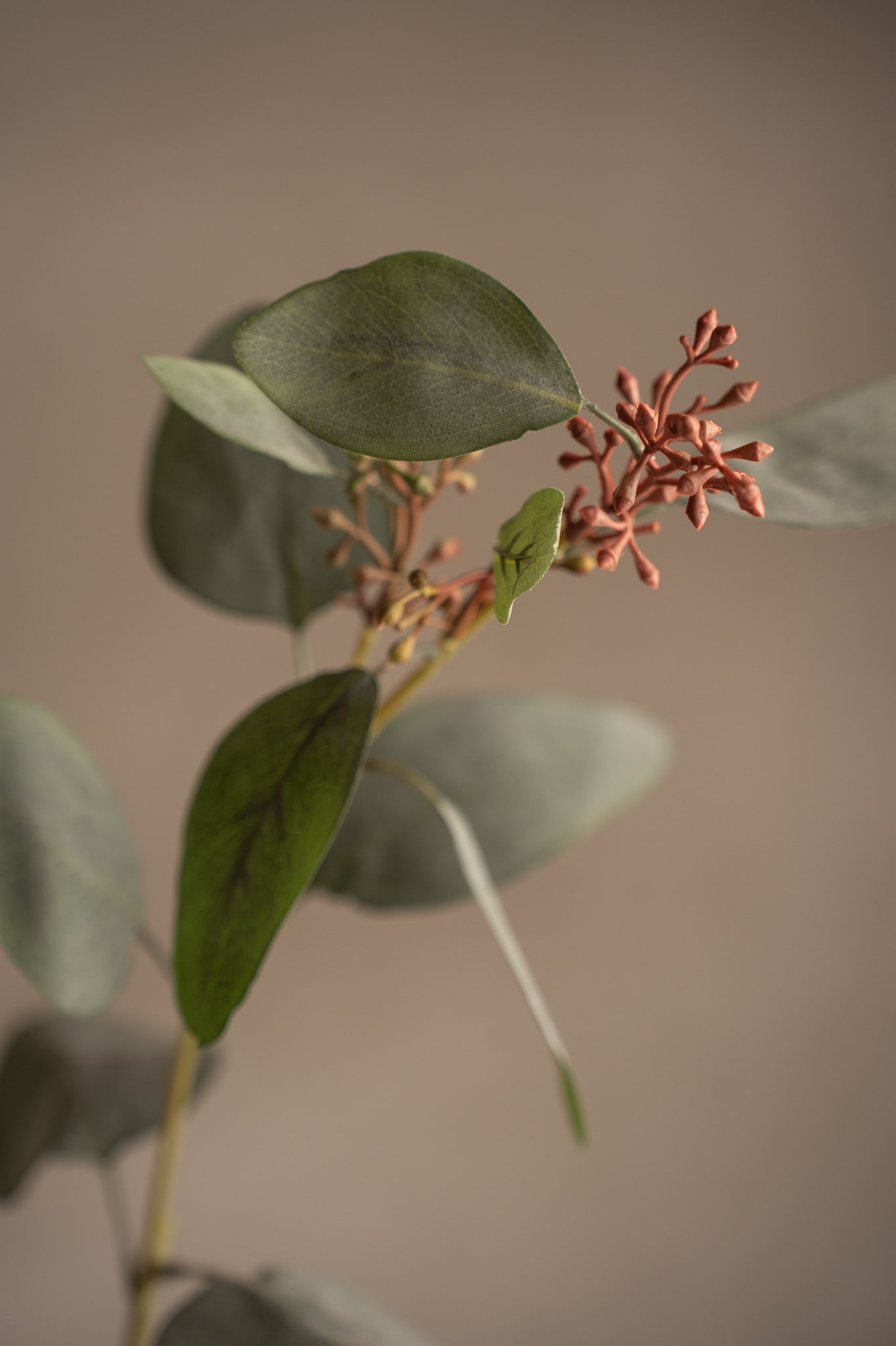 Konstgjord flerfärgad Eucalyptus 87cm