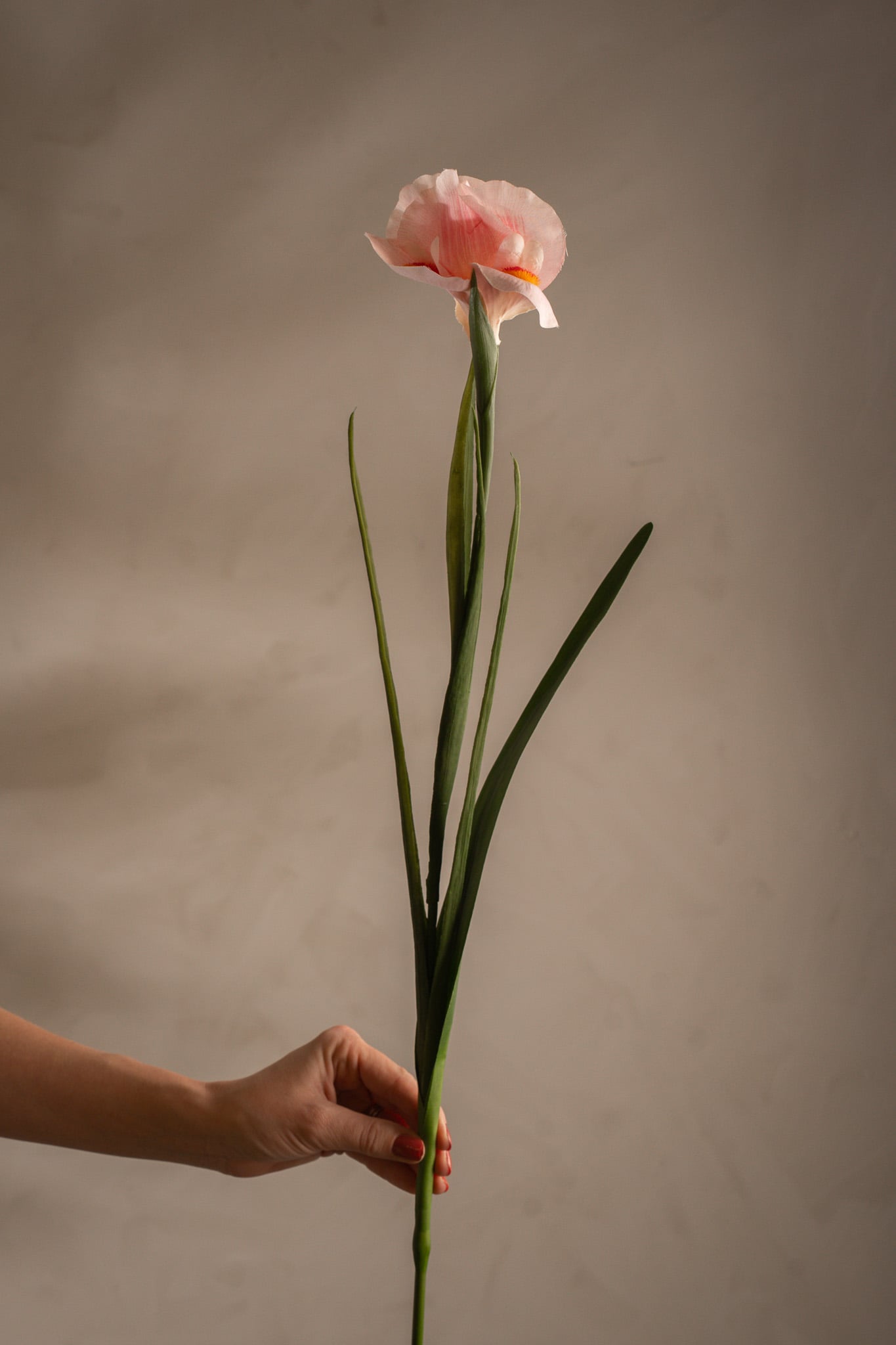 Konstgjord rosa Iris 68cm