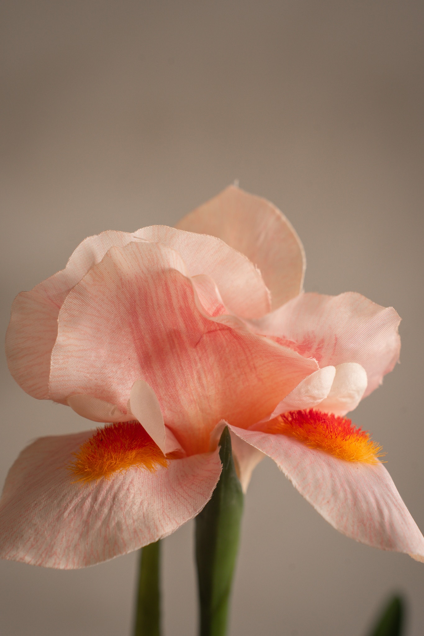 Konstgjord rosa Iris 68cm
