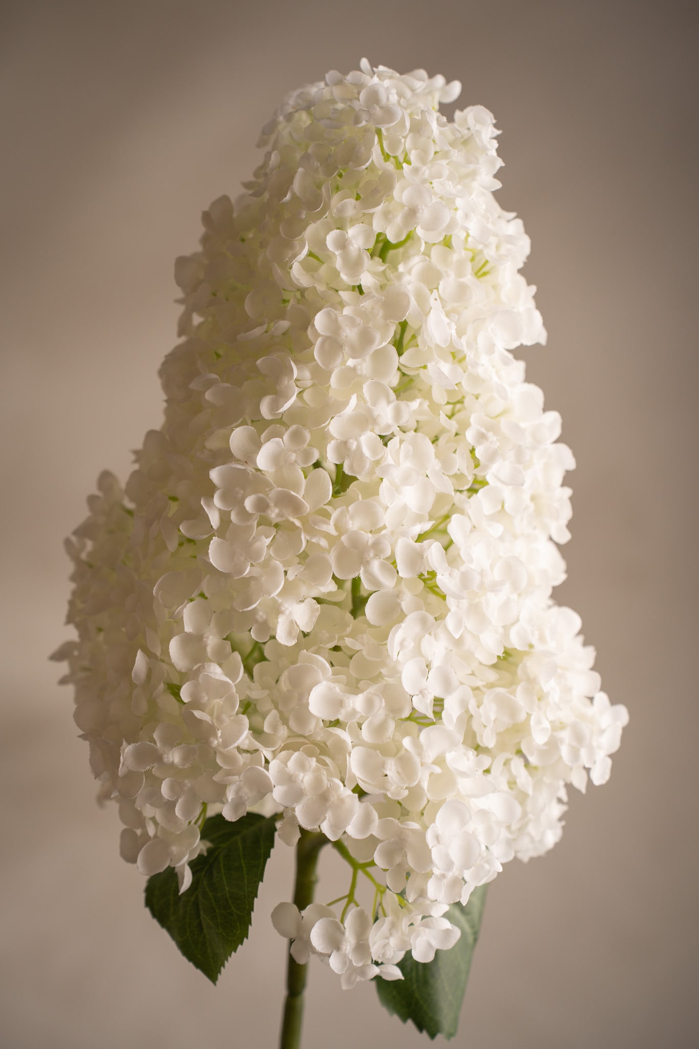 Konstgjord vit Syrénhortensia 128cm