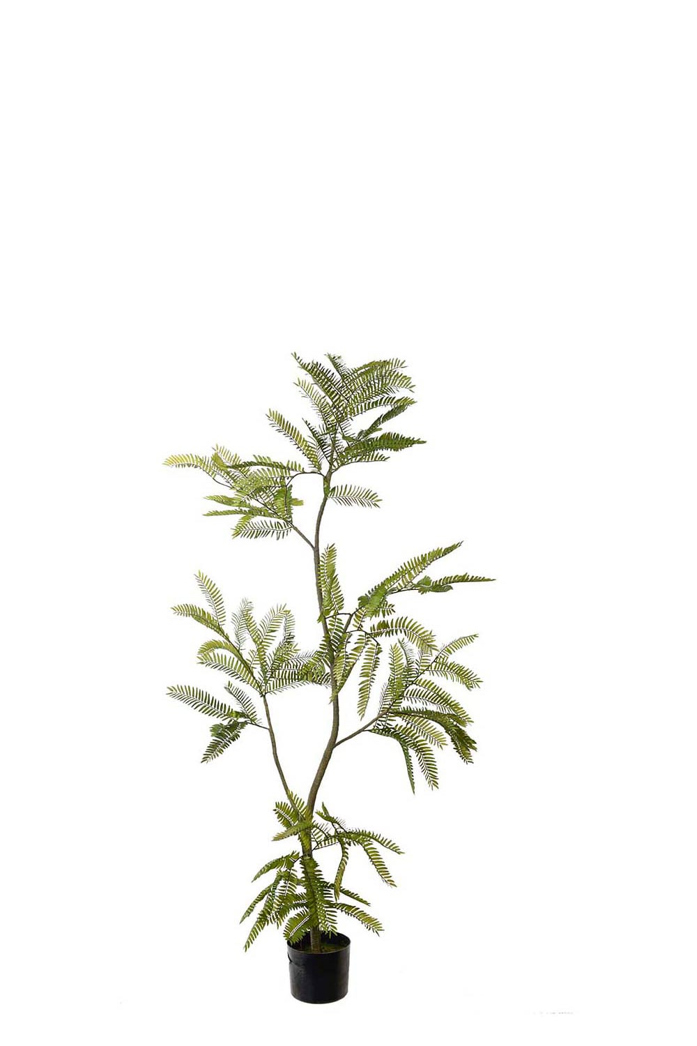 Konstgjord grön Mimosa Pudica 140cm