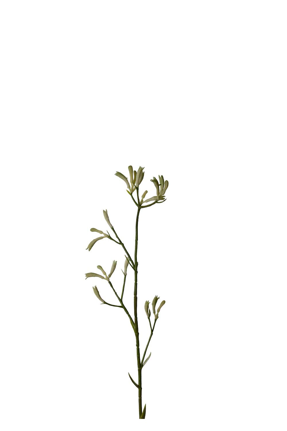 Konstgjord grön Kängurutass 78cm