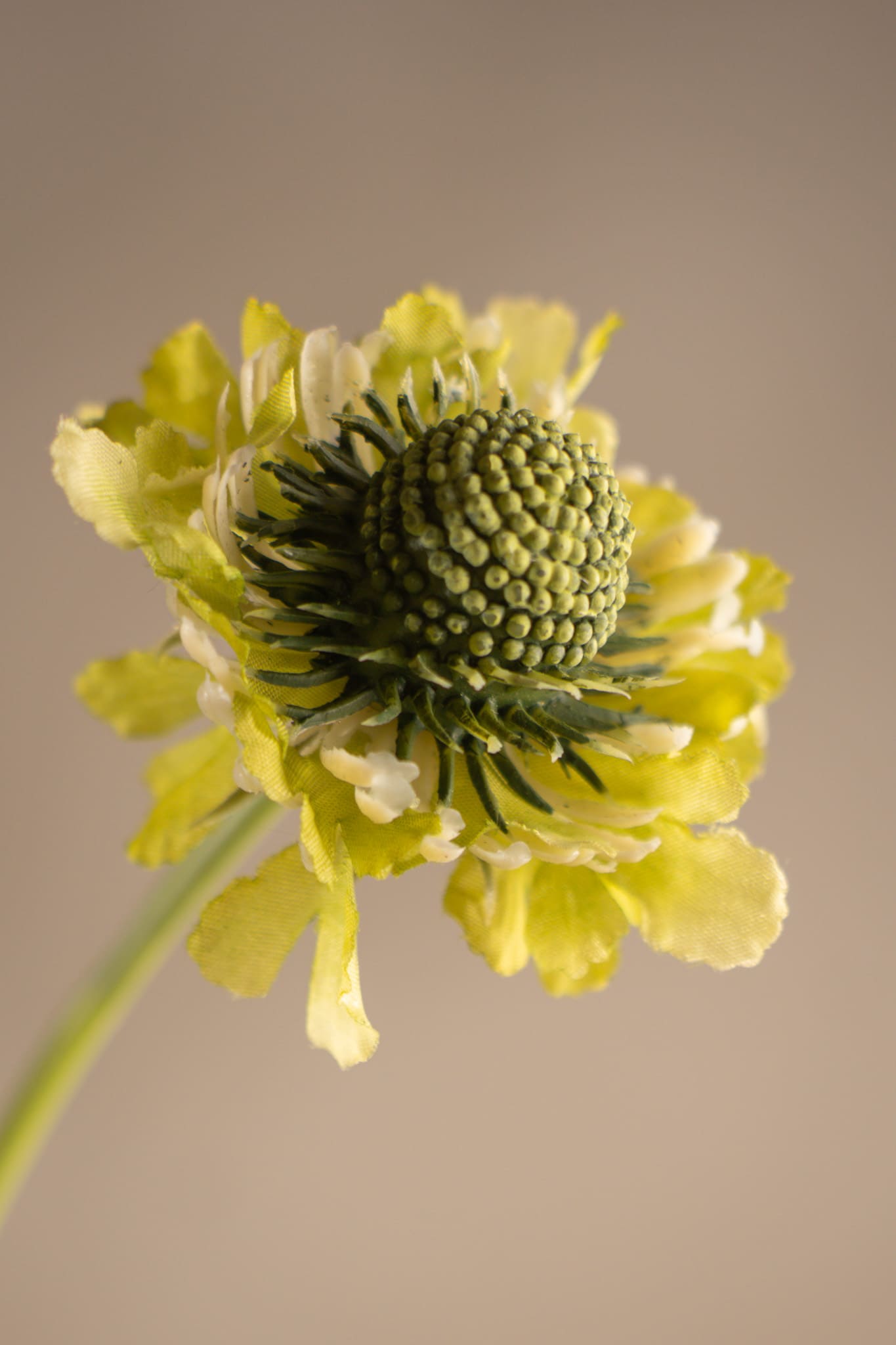 Konstgjord grön Scabiosa 64cm