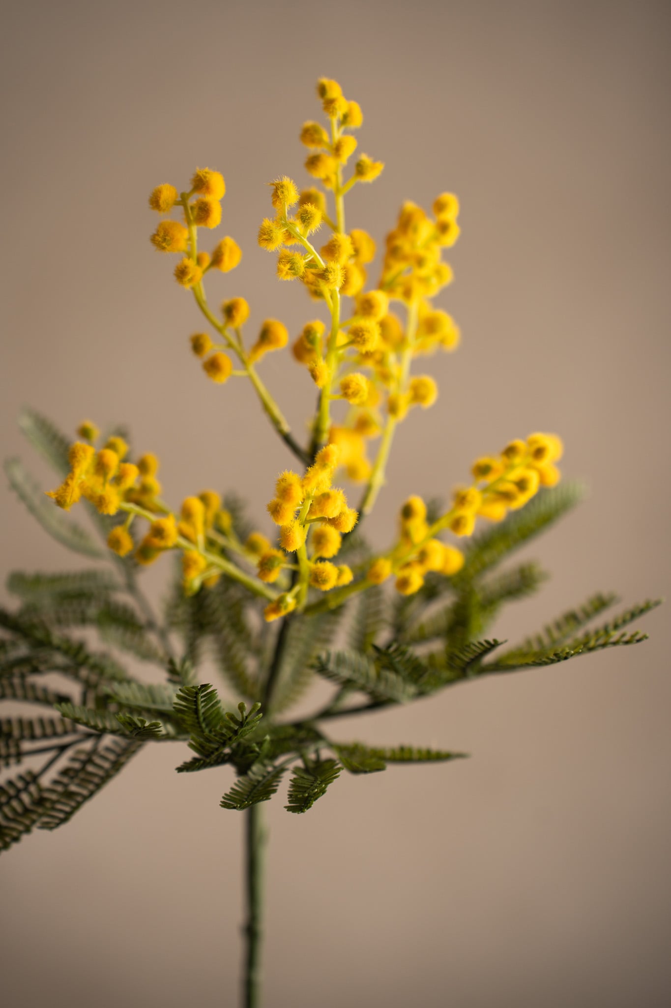 Konstgjord gul Mimosa 48cm