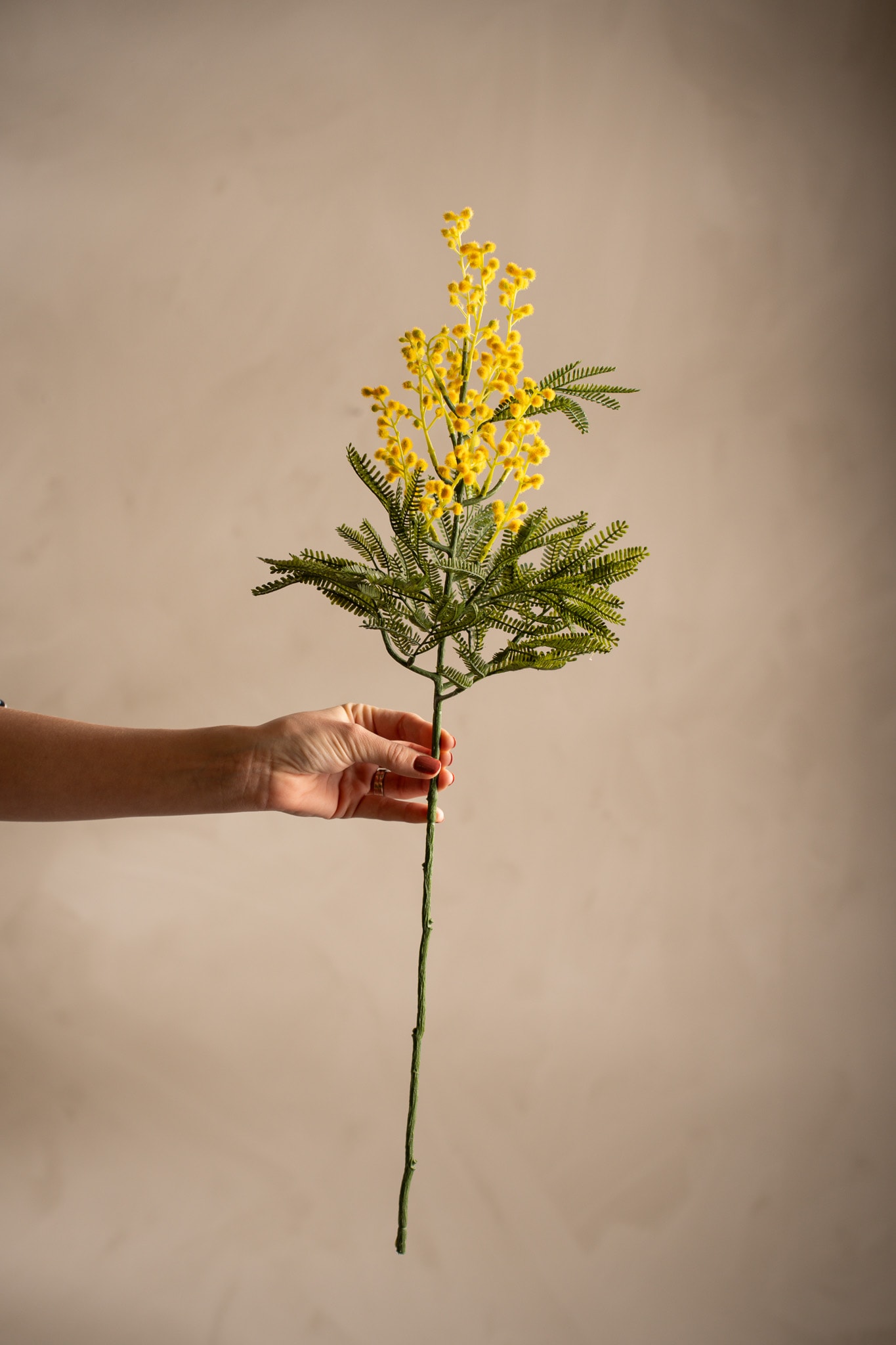 Konstgjord gul Mimosa 68cm