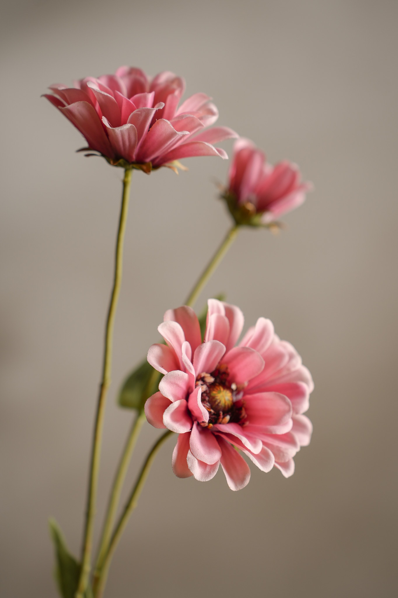 Konstgjord rosa Zinnia 65cm