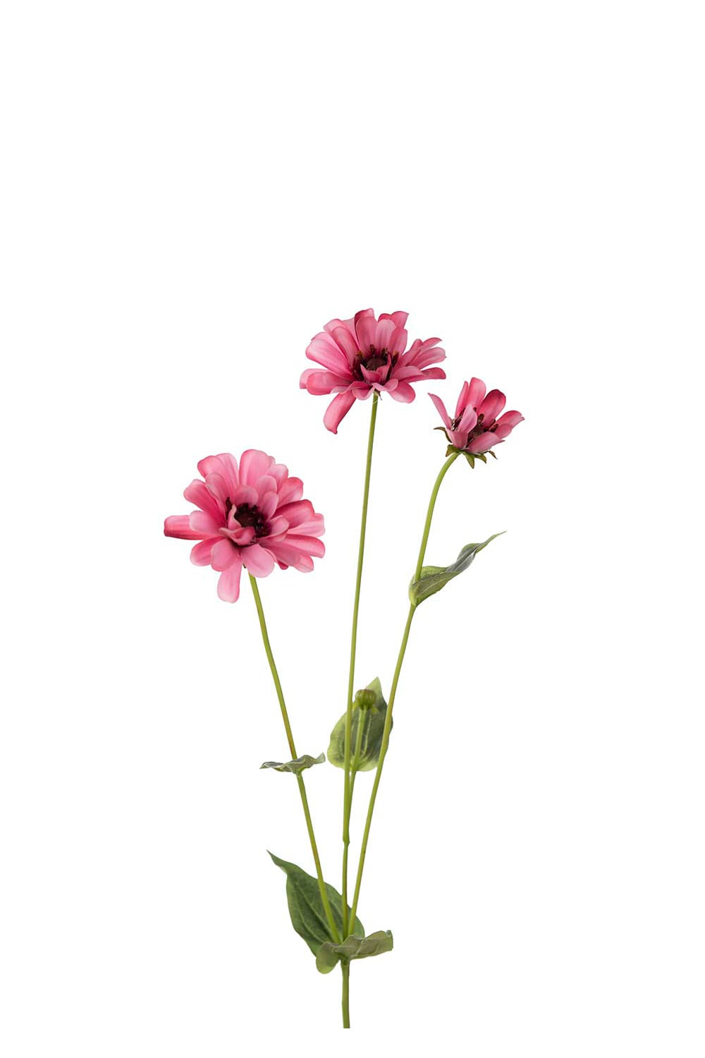 Konstgjord rosa Zinnia 65cm