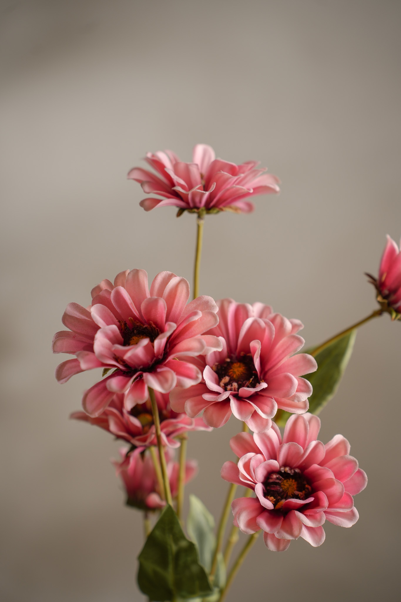 Konstgjord rosa Zinnia 90cm