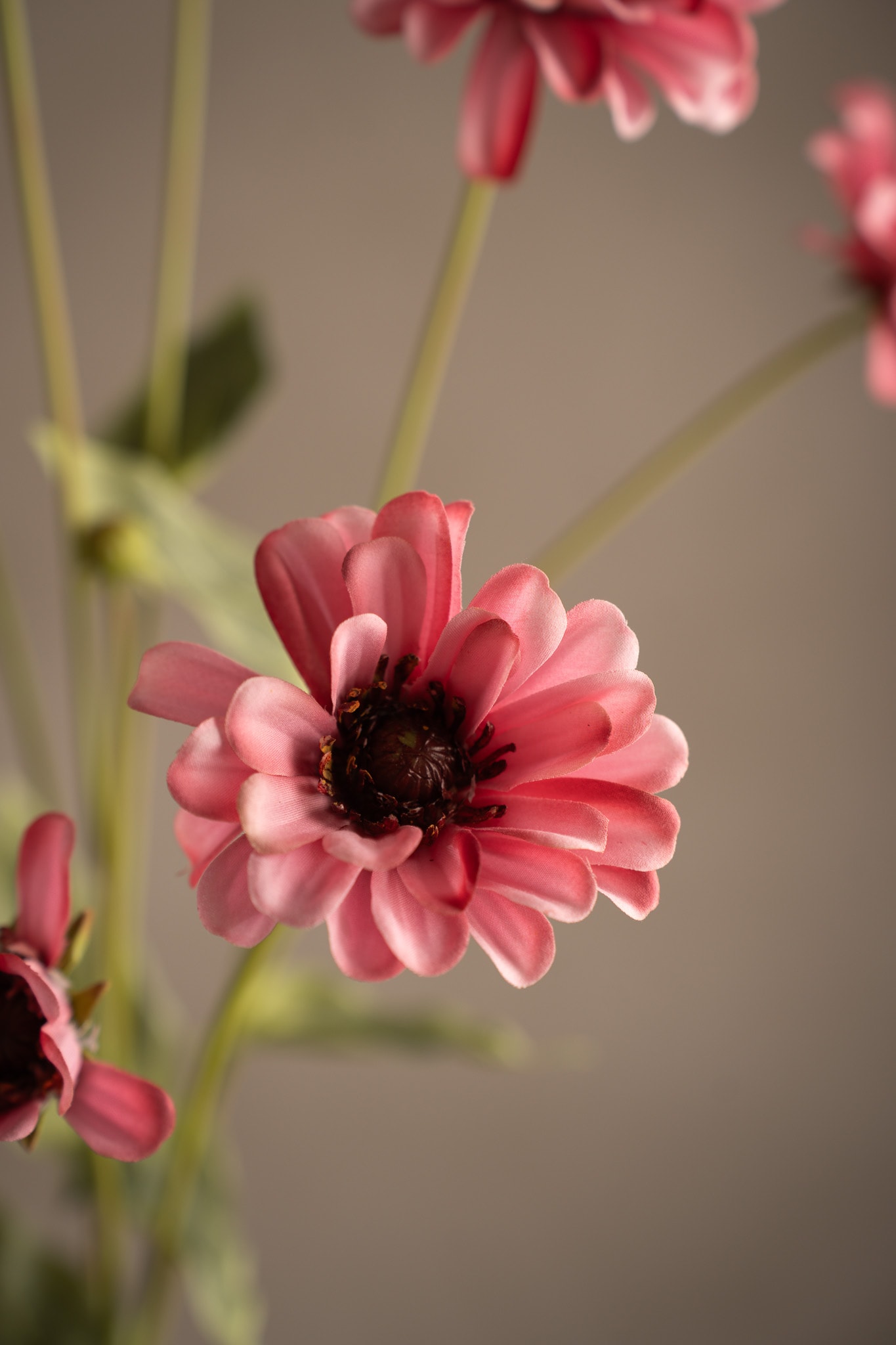 Konstgjord rosa Zinnia 90cm