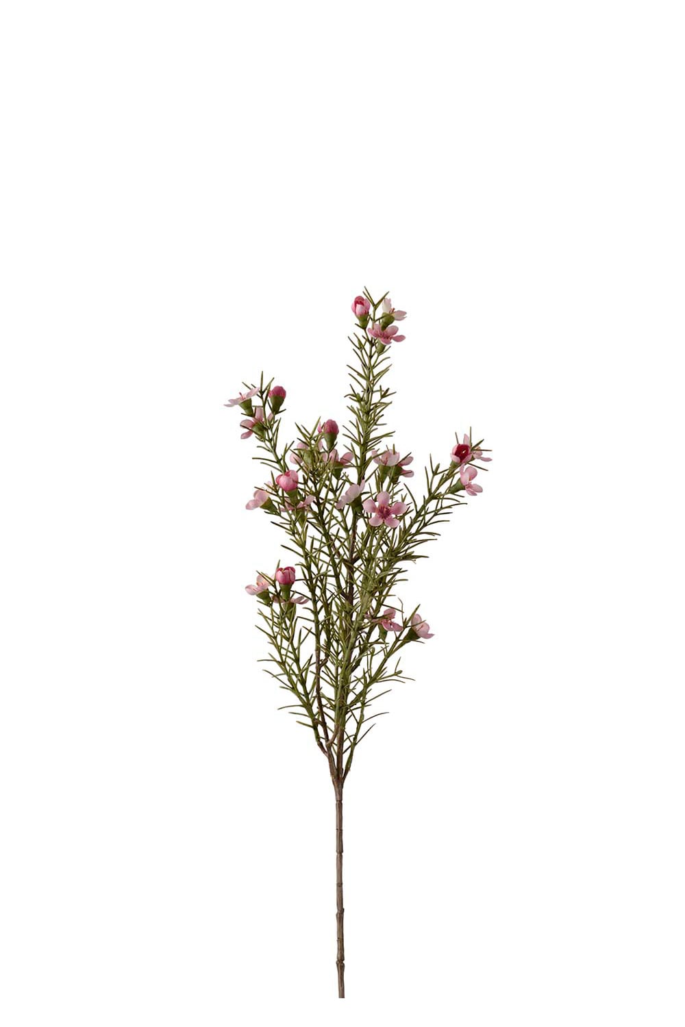 Konstgjord rosa Vaxblomma 60cm