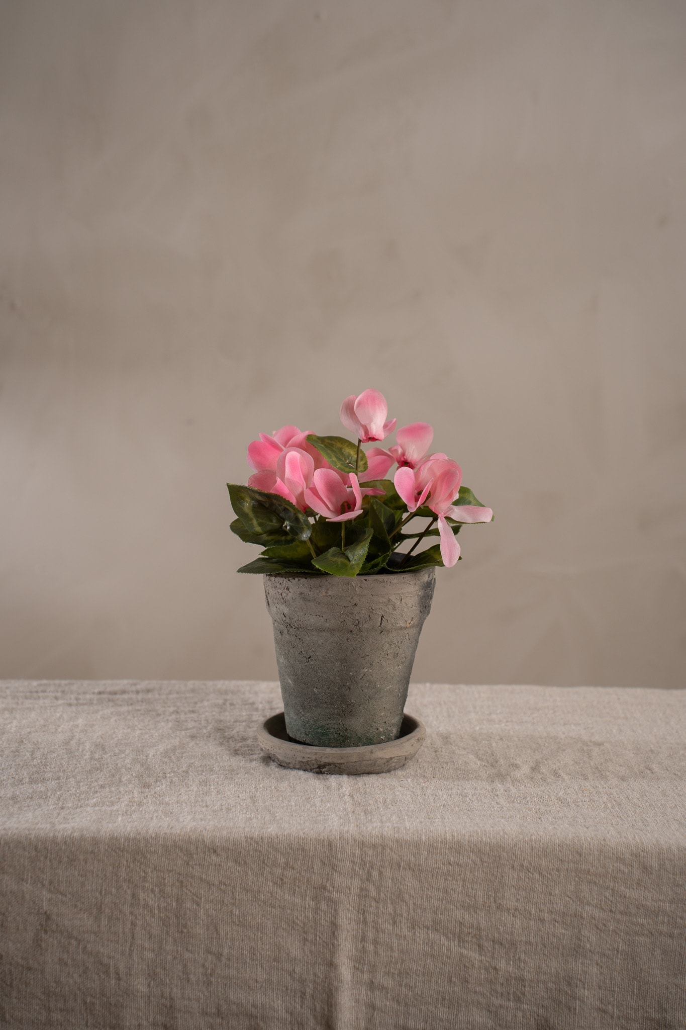 Konstgjord rosa Cyklamen 22cm
