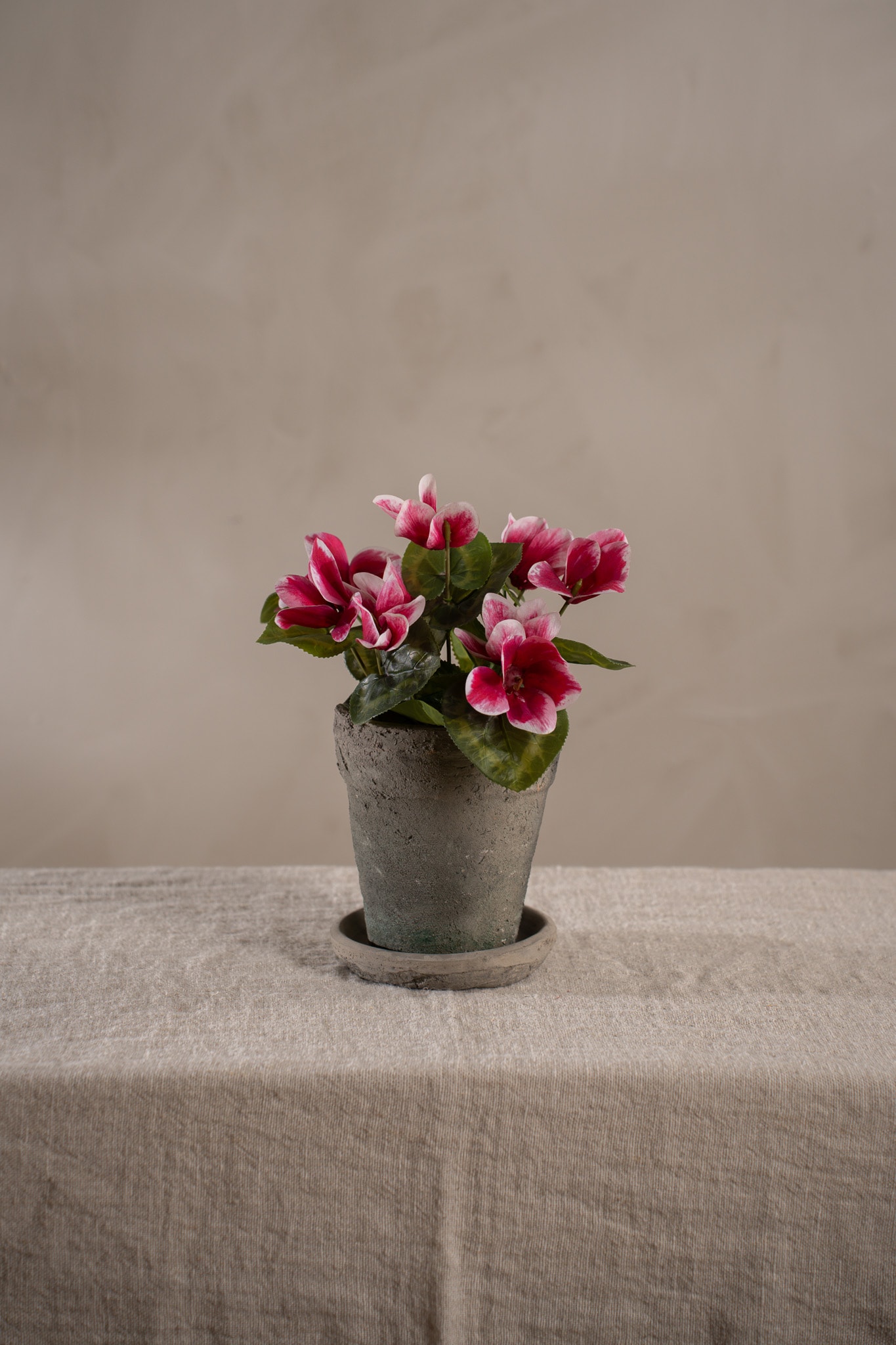 Konstgjord rosa Cyklamen 22cm