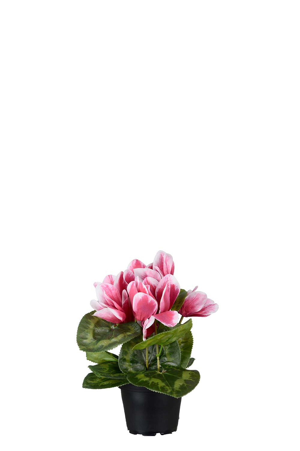 Konstgjord rosa Cyklamen 22cm