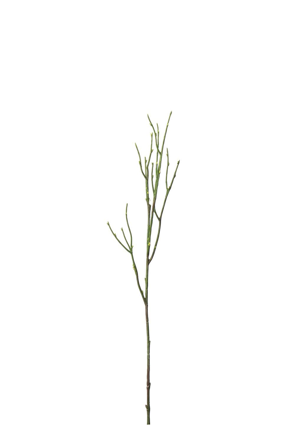 Konstgjord grön Blåbärskvist 45cm