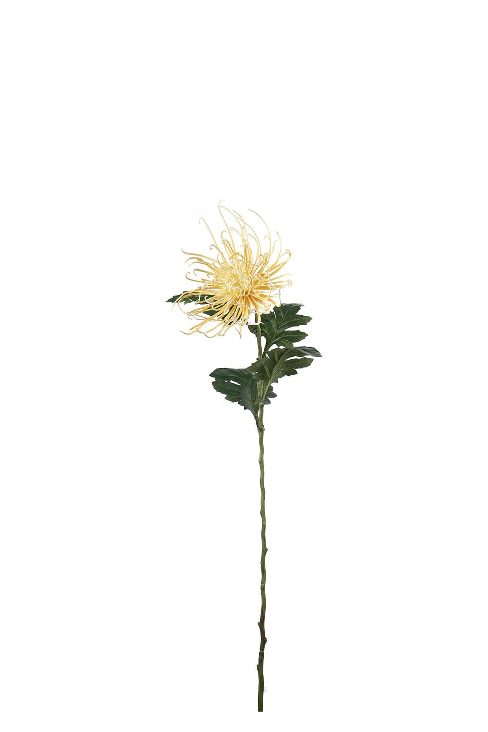 Konstgjord orange Spindelchrysanthemum 70cm