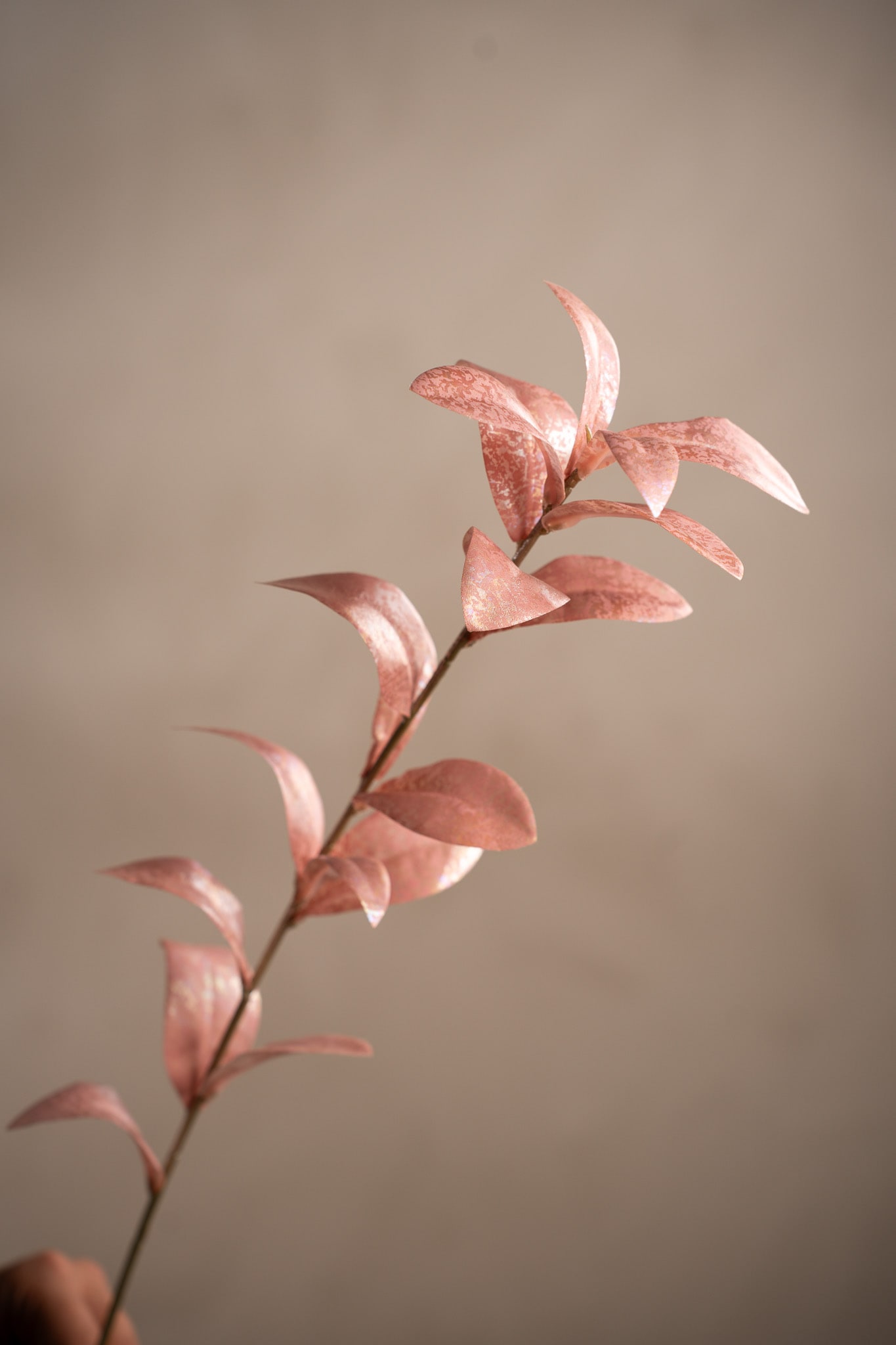 Konstgjord rosa Ruscus 80cm