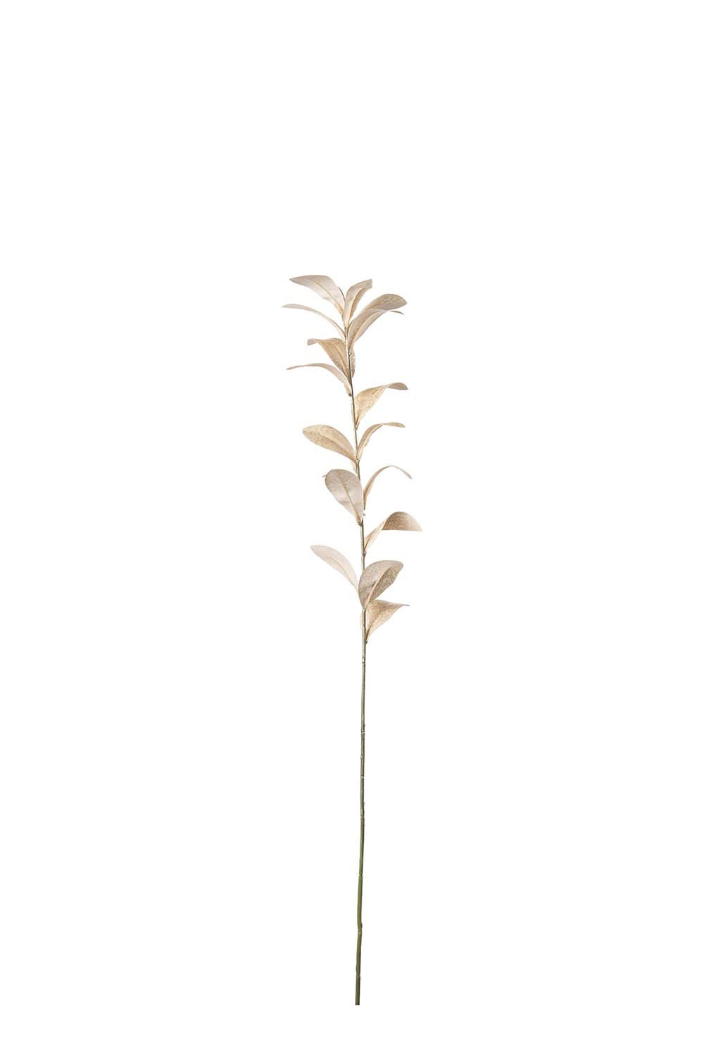 Konstgjord champagnefärgad Ruscus 80cm