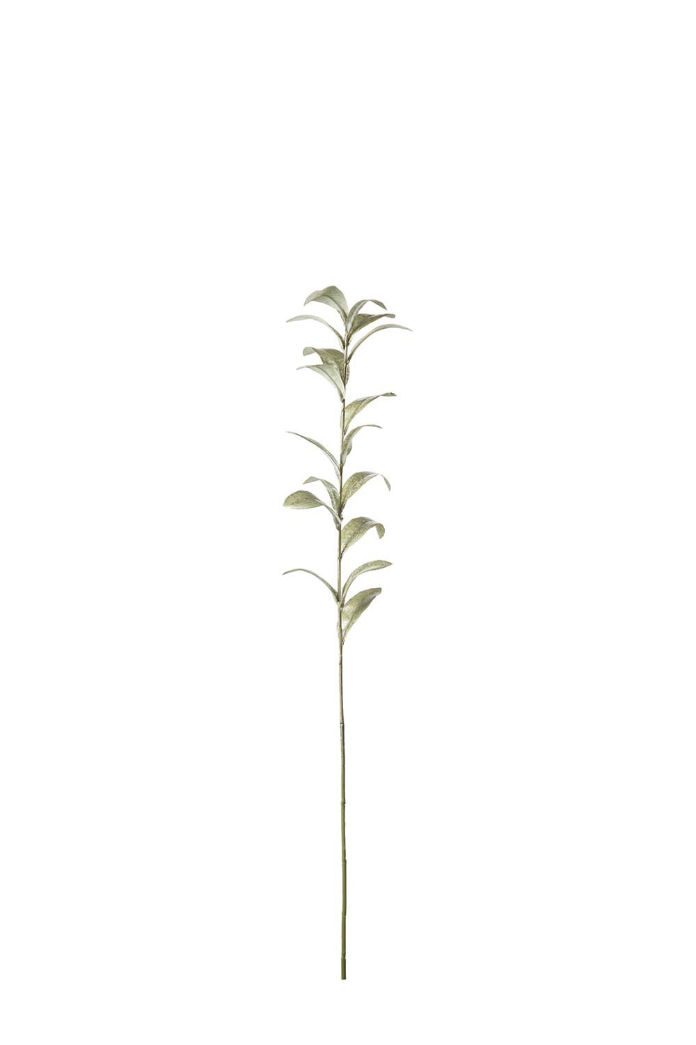 Konstgjord grön Ruscus 80cm