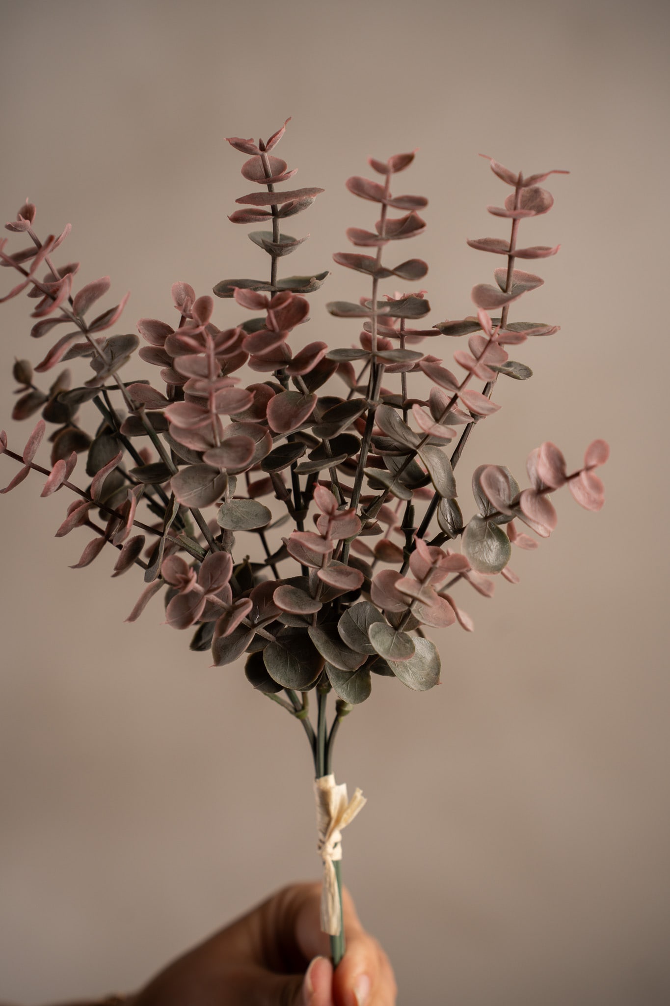 Konstgjord burgundy Eucalyptus bunt 30cm