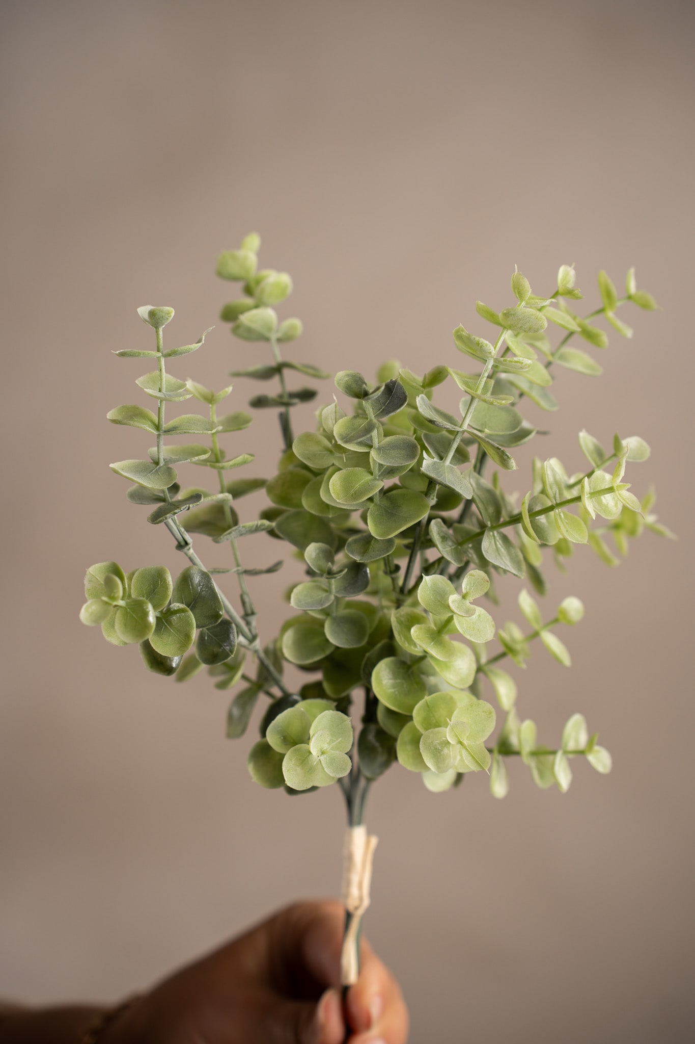 Konstgjord grön Eucalyptus bunt 30cm