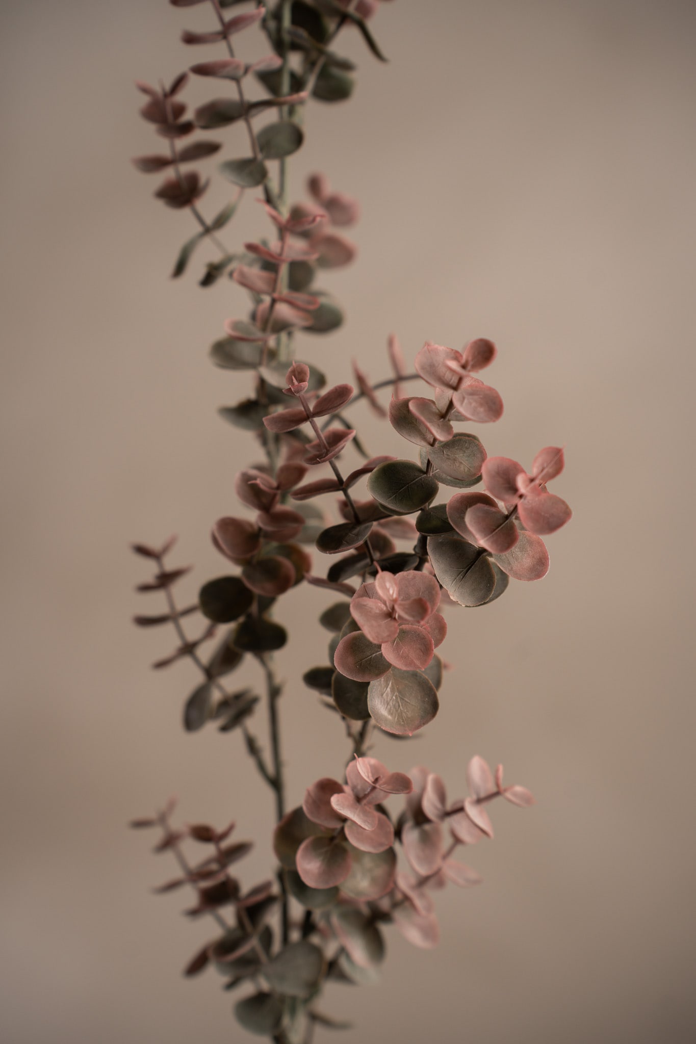 Konstgjord burgundy Eucalyptus 70cm