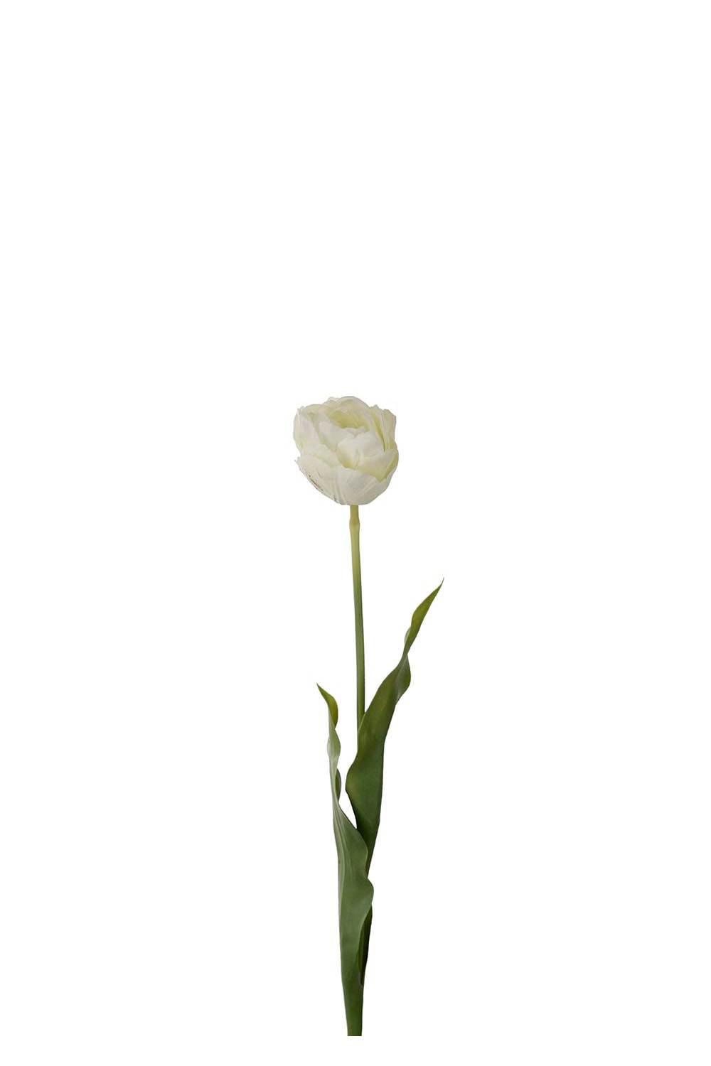 Konstgjord cremefärgad Tulpan 67cm