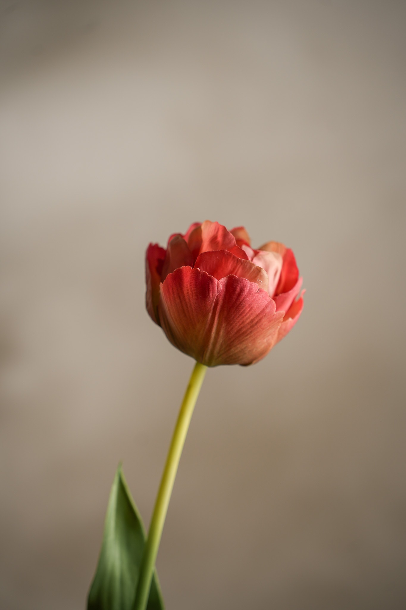 Konstgjord rosa Tulpan 67cm