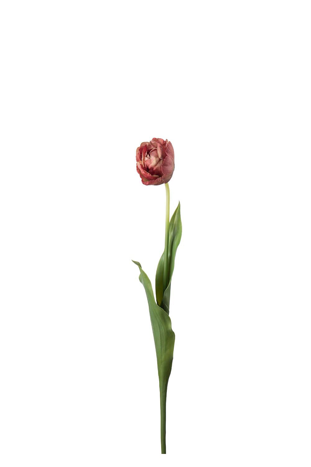 Konstgjord rosa Tulpan 67cm