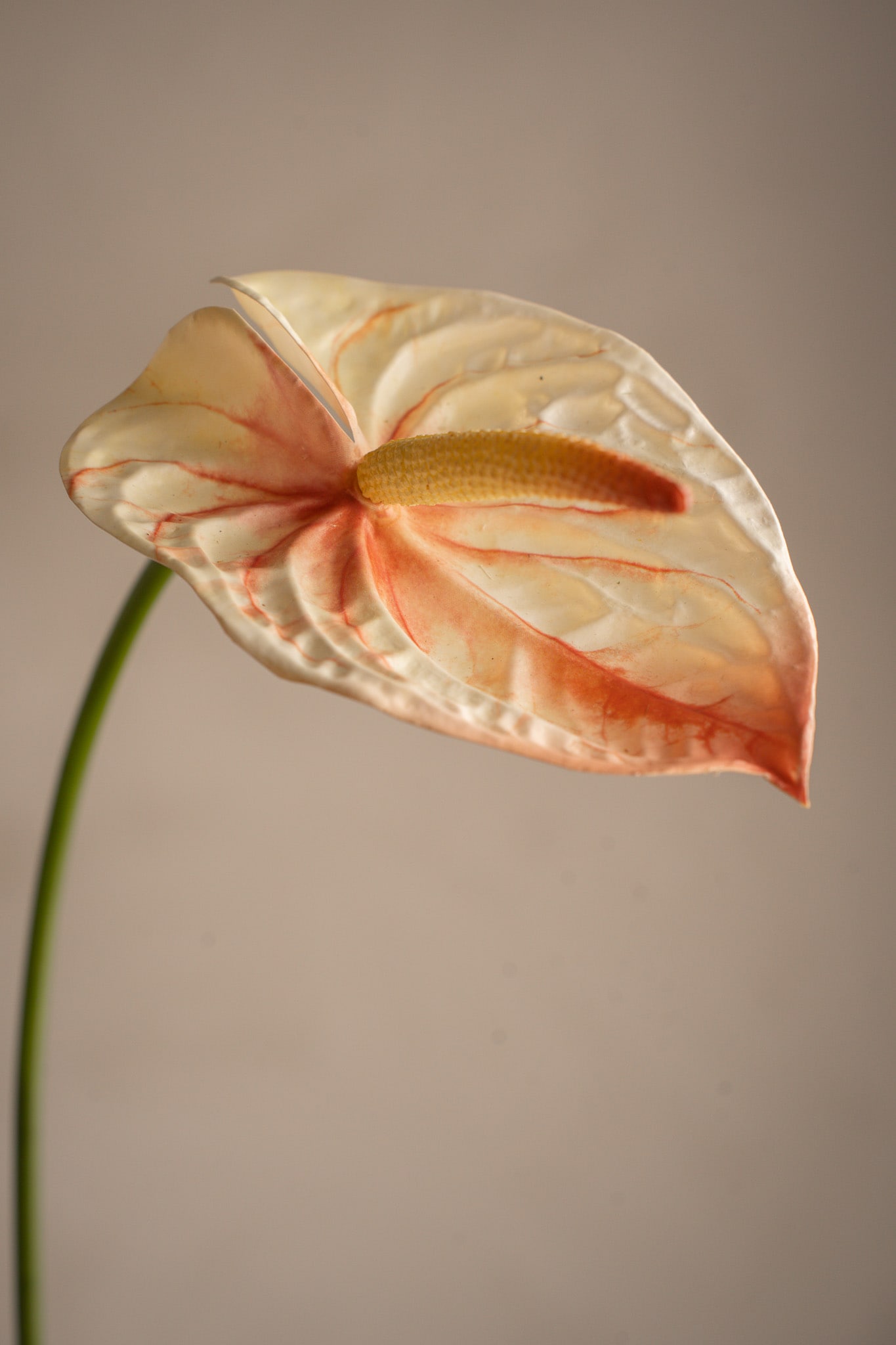 Konstgjord rosa Anthurium 65cm