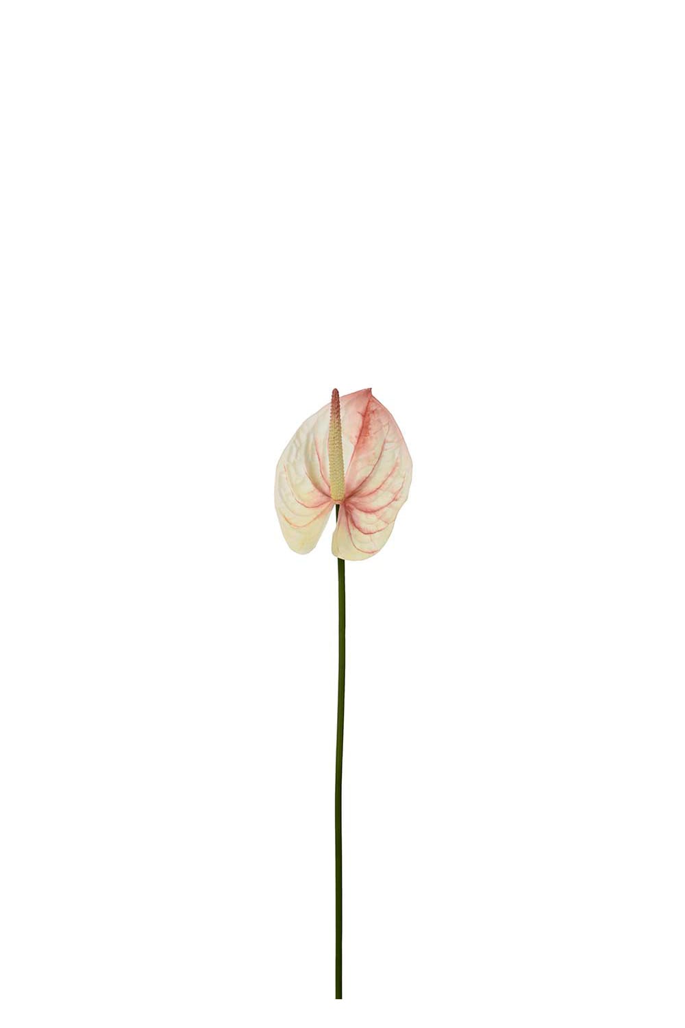Konstgjord rosa Anthurium 65cm