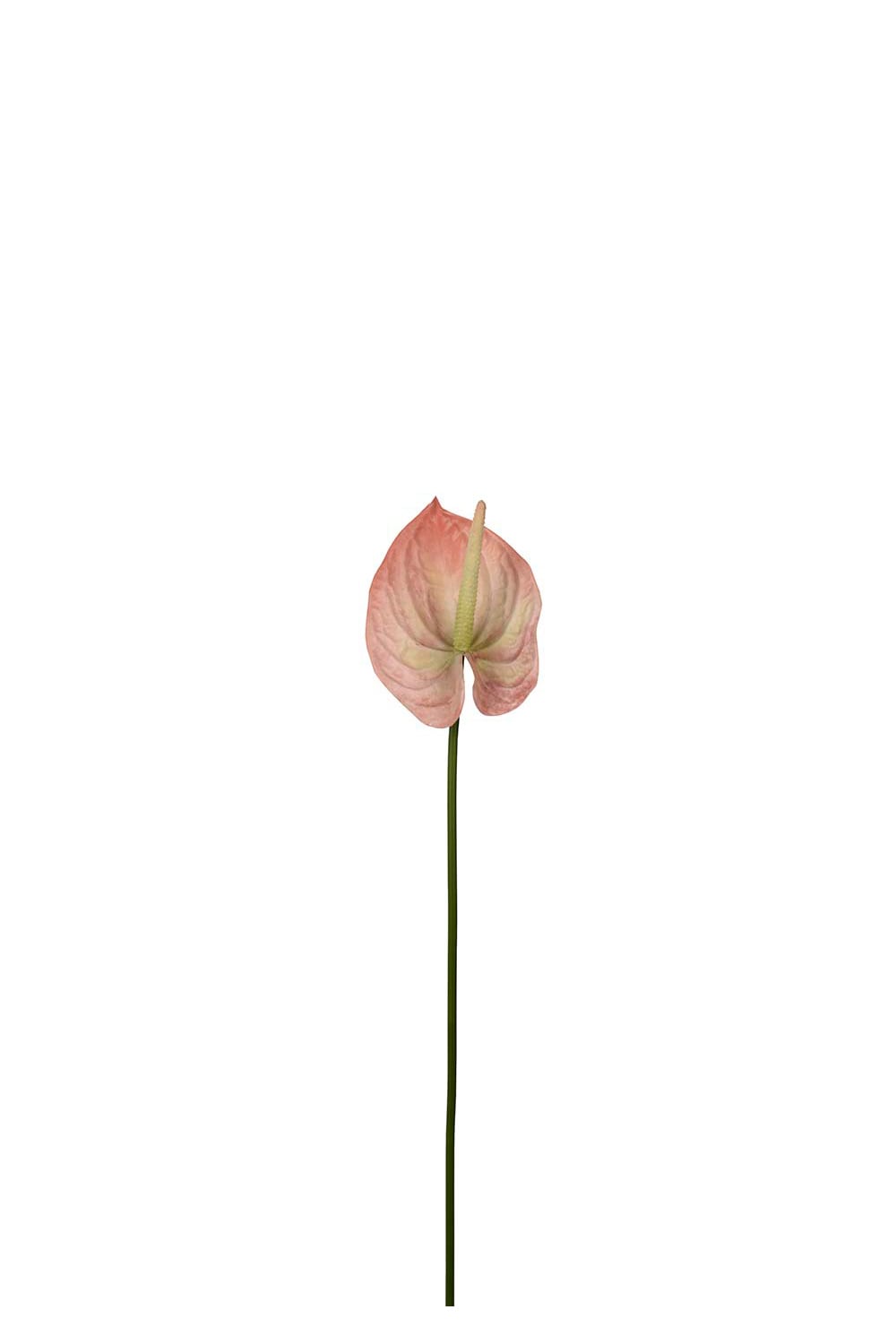 Konstgjord persikofärgad Anthurium 65cm