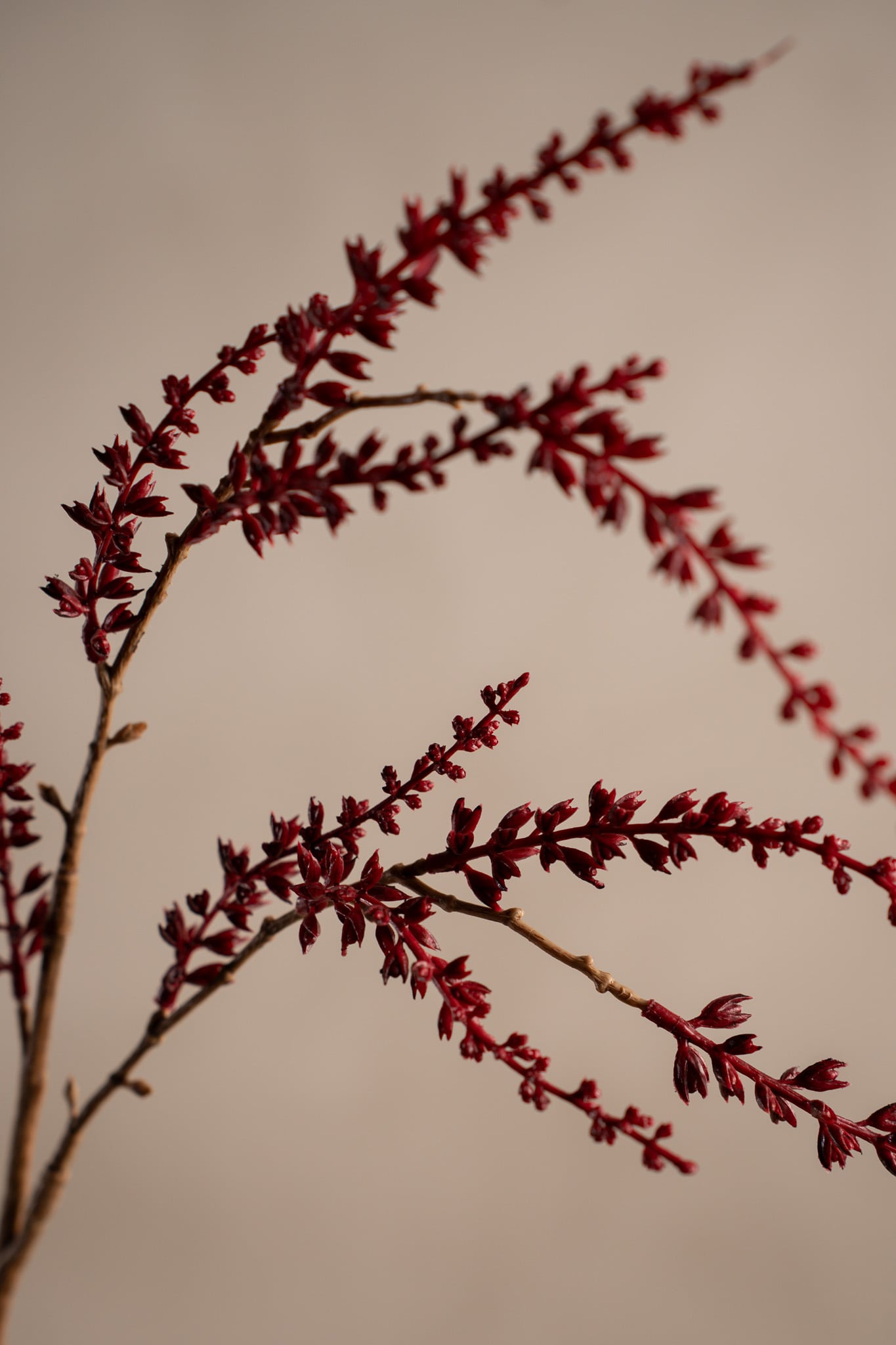 Konstgjord burgundy Kvist 70cm