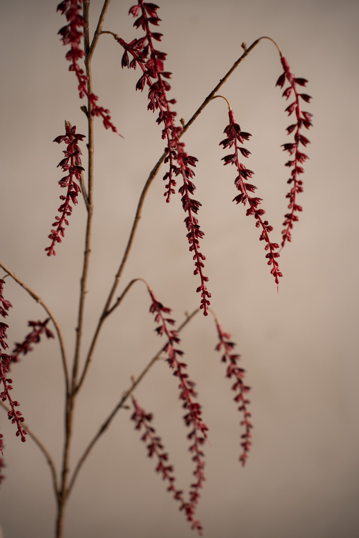 Konstgjord burgundy Kvist 120cm