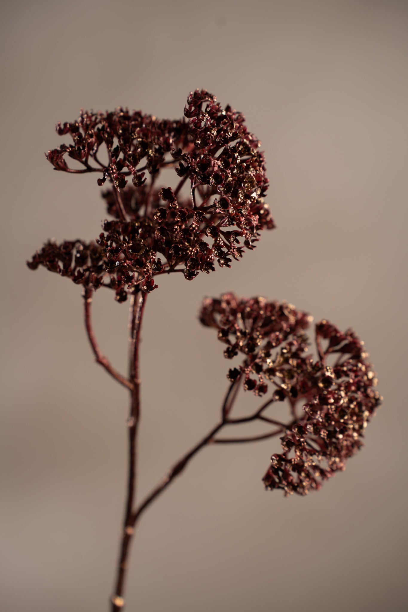 Konstgjord burgundy Röllika 54cm