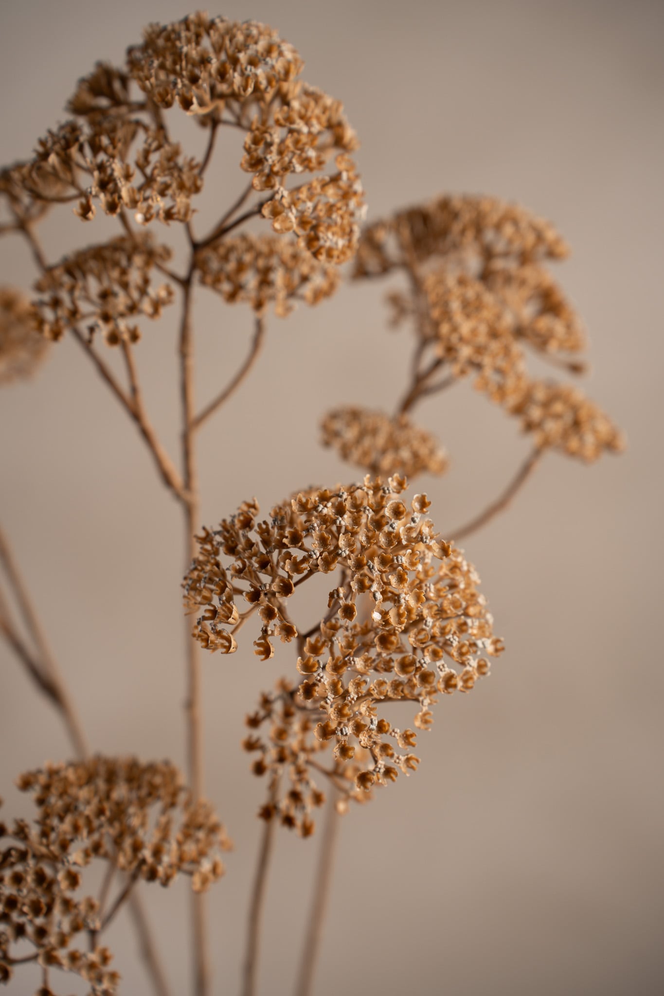 Konstgjord beige Röllika 90cm