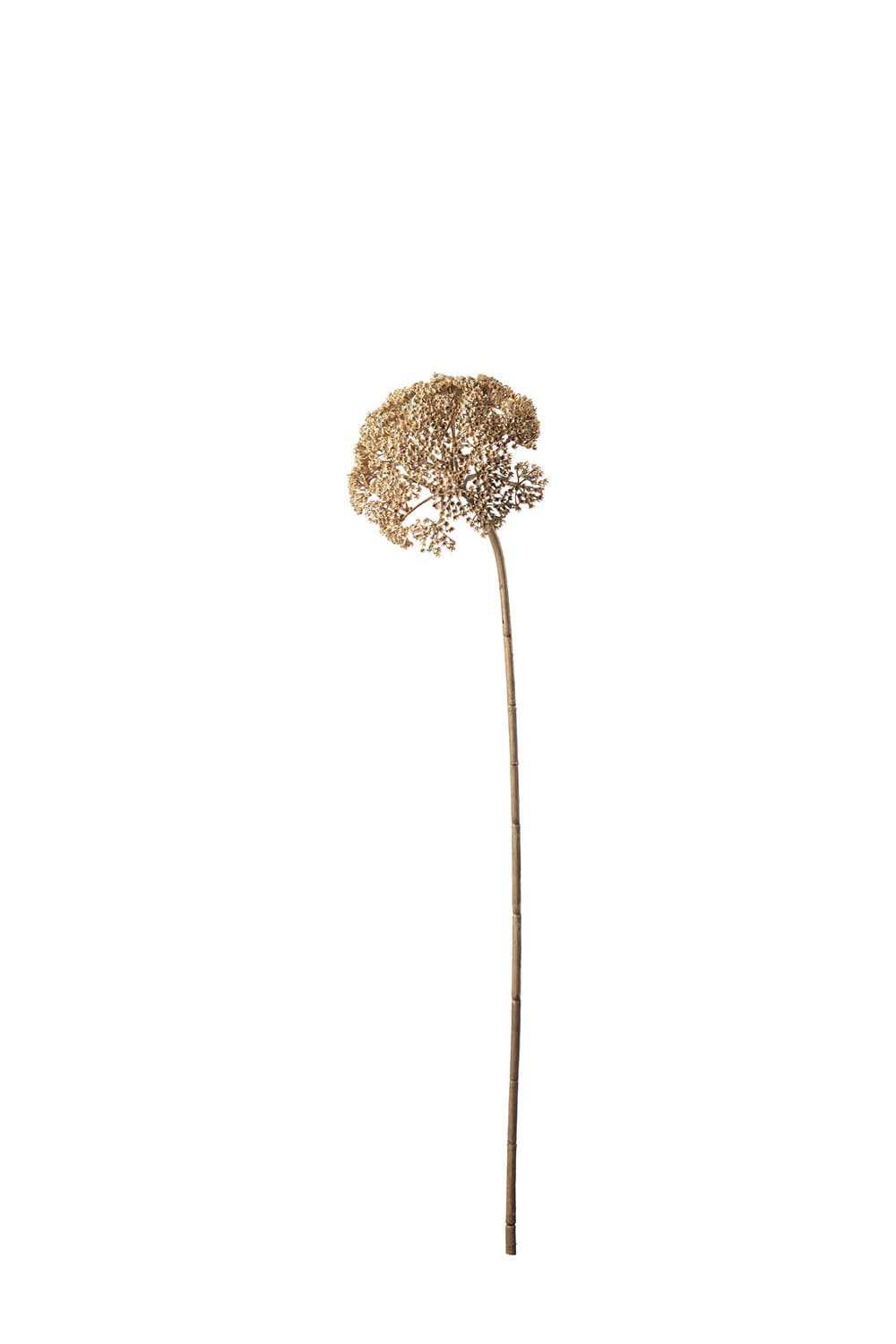 Konstgjord beige Röllika 80cm
