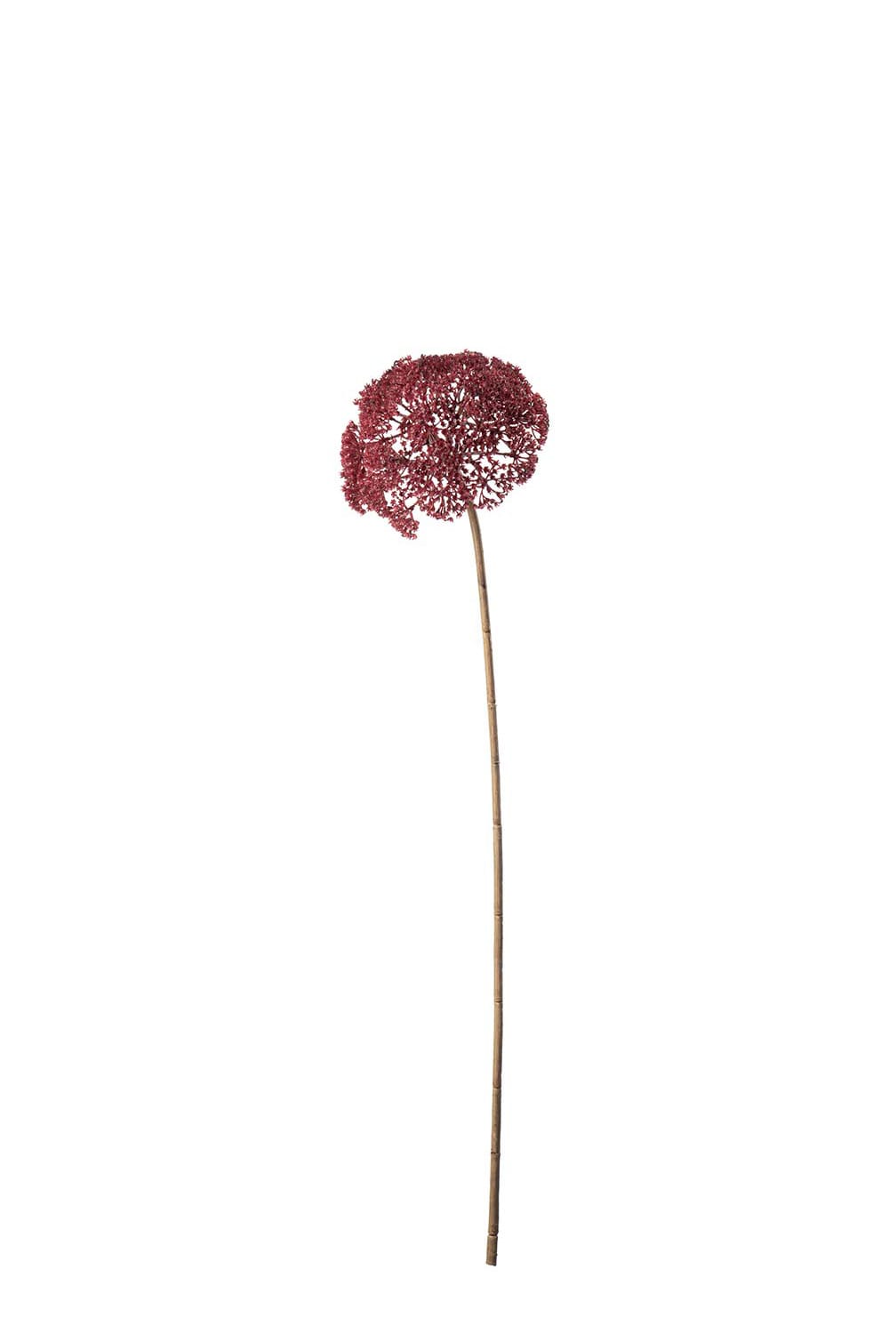 Konstgjord burgundy Röllika 80cm