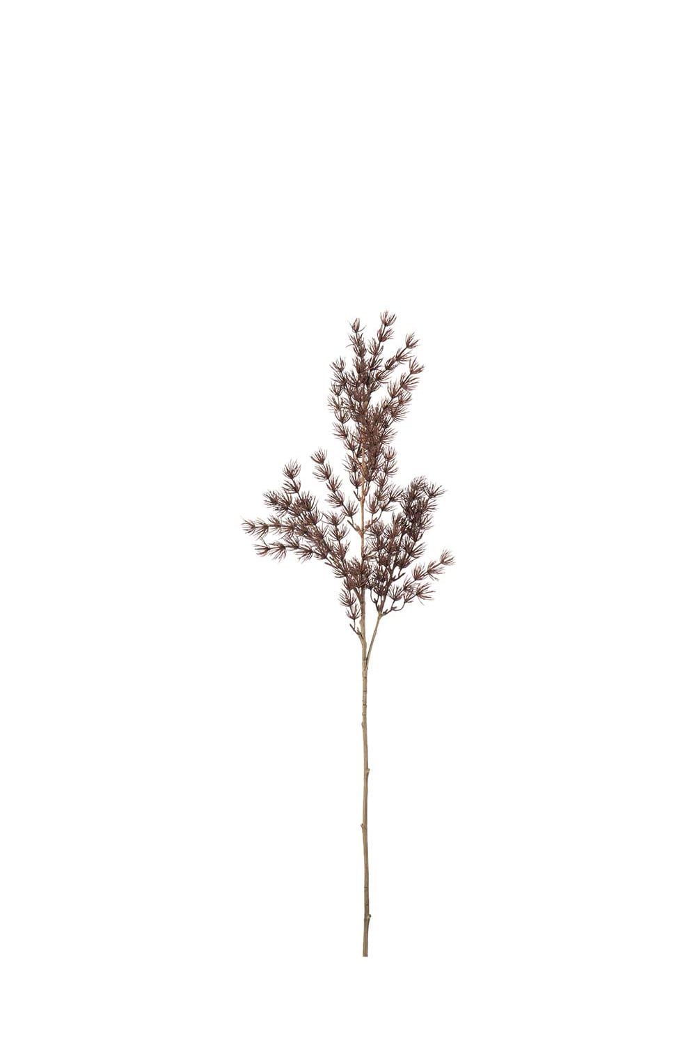 Konstgjord brun Asparagus 75cm