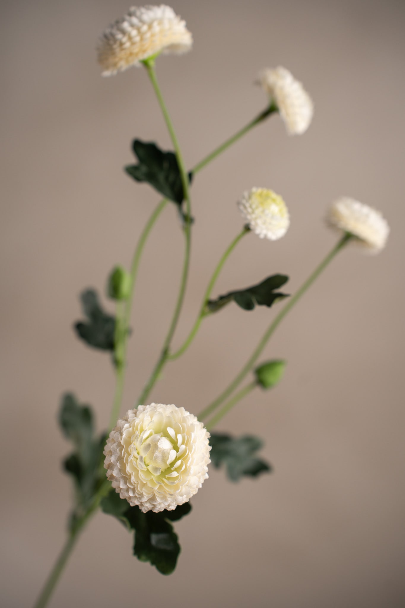 Konstgjord vit Chrysanthemum 60cm
