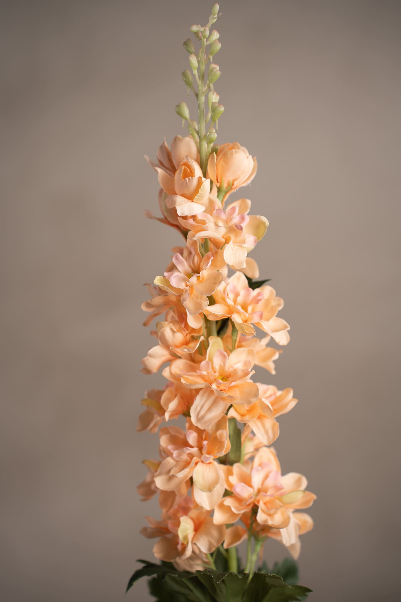 Konstgjord persikofärgad Delphinium 75cm