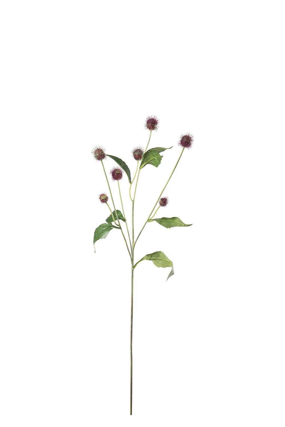 Konstgjord burgundy Tistel 58cm