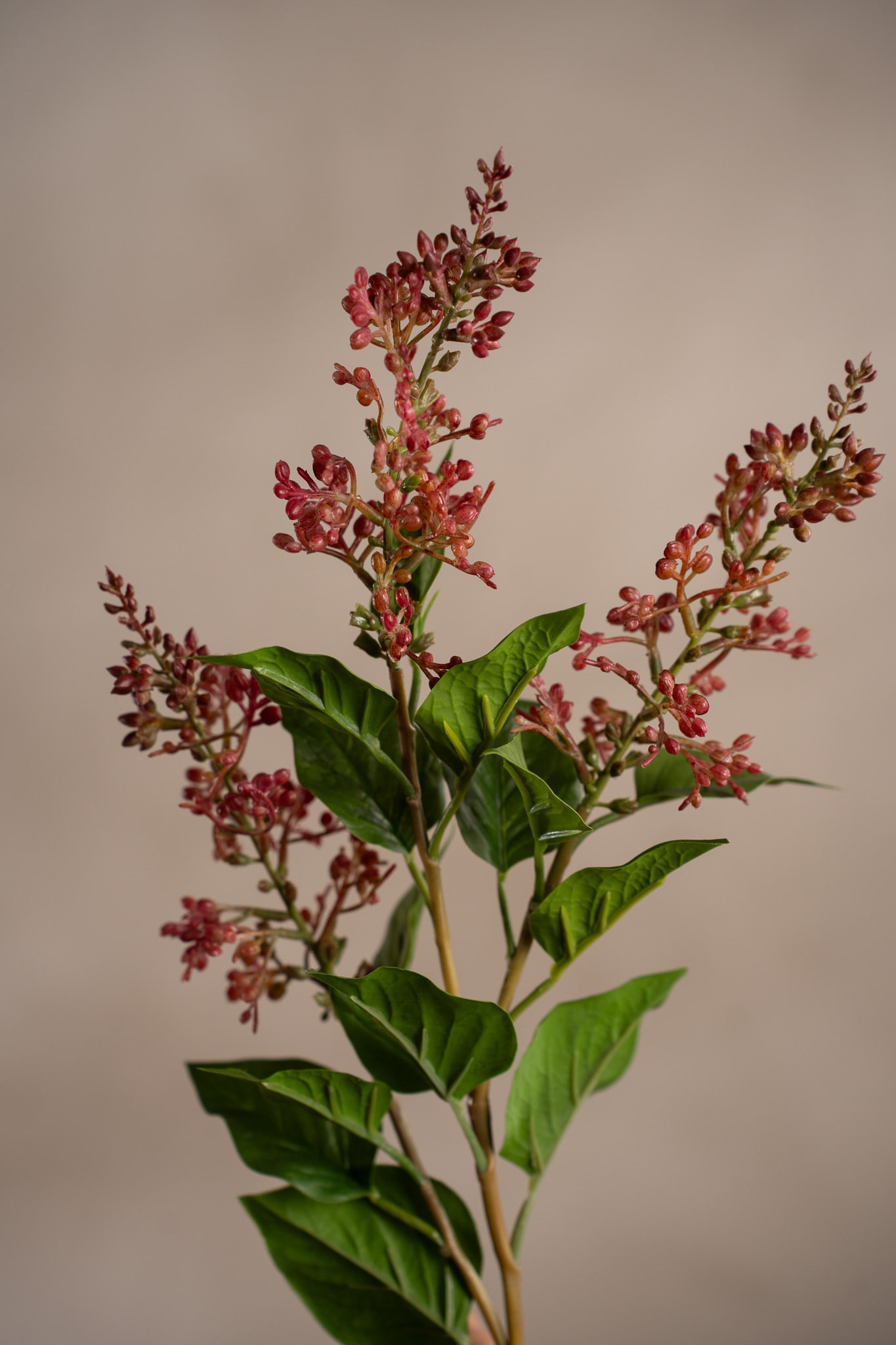 Konstgjord burgundy Bärkvist 68cm
